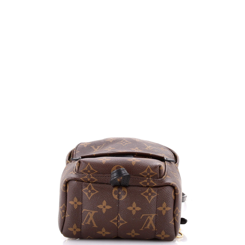 Palm Springs Backpack Monogram Canvas Mini