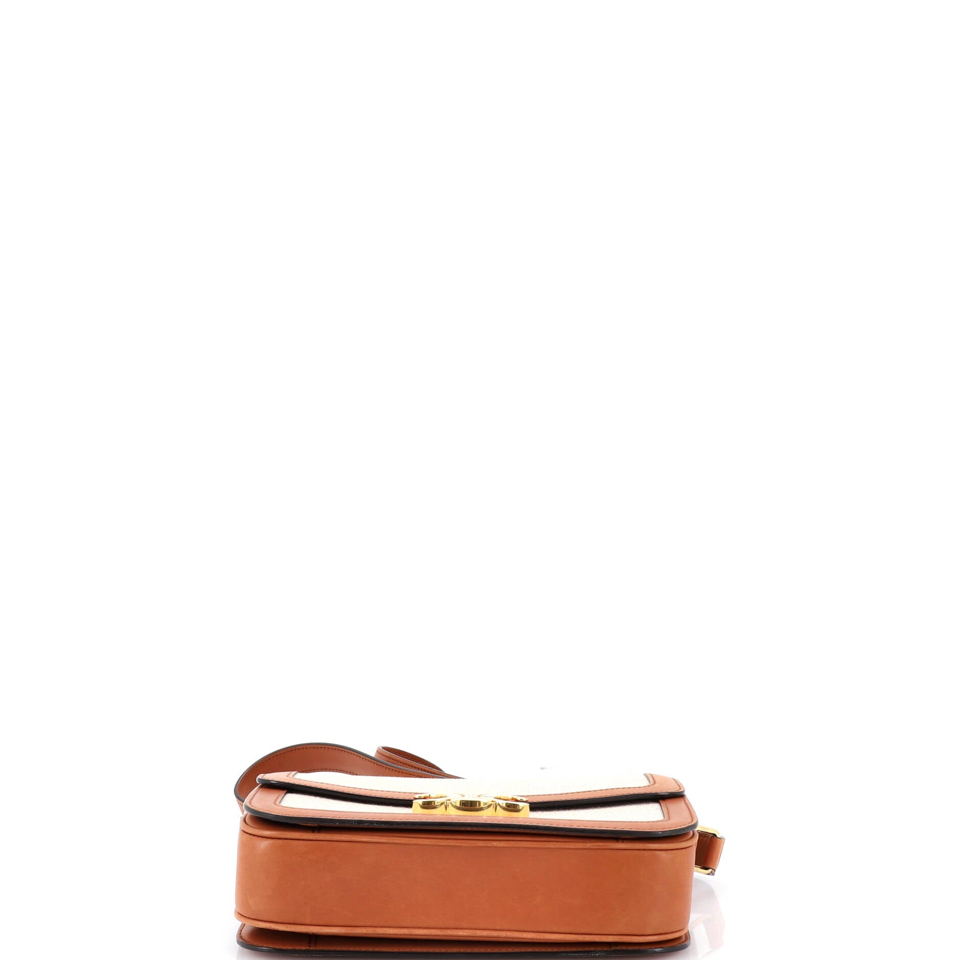 Triomphe Shoulder Bag Canvas with Leather Medium