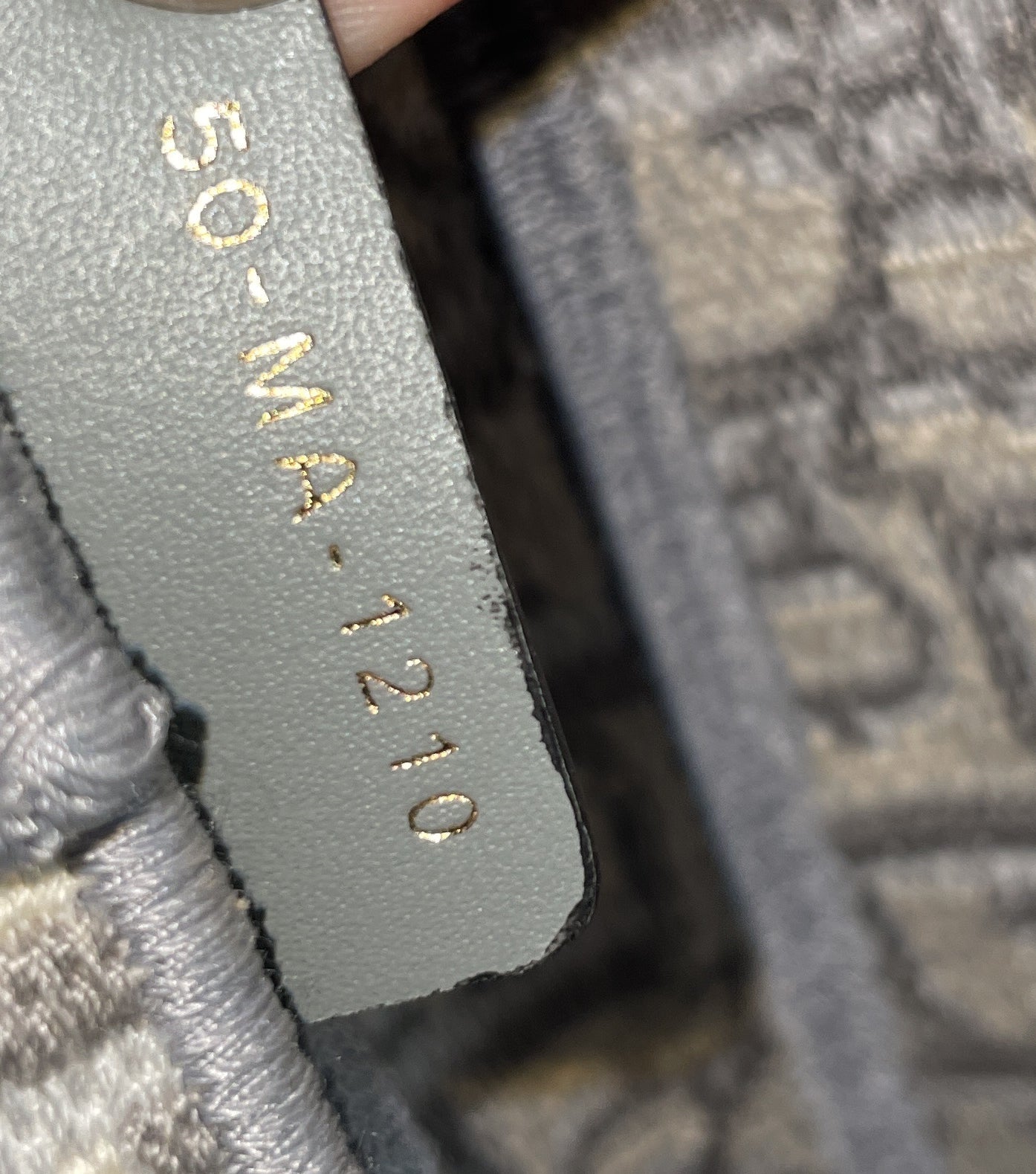 Saddle Handbag Logo Embroidered Oblique Canvas Medium