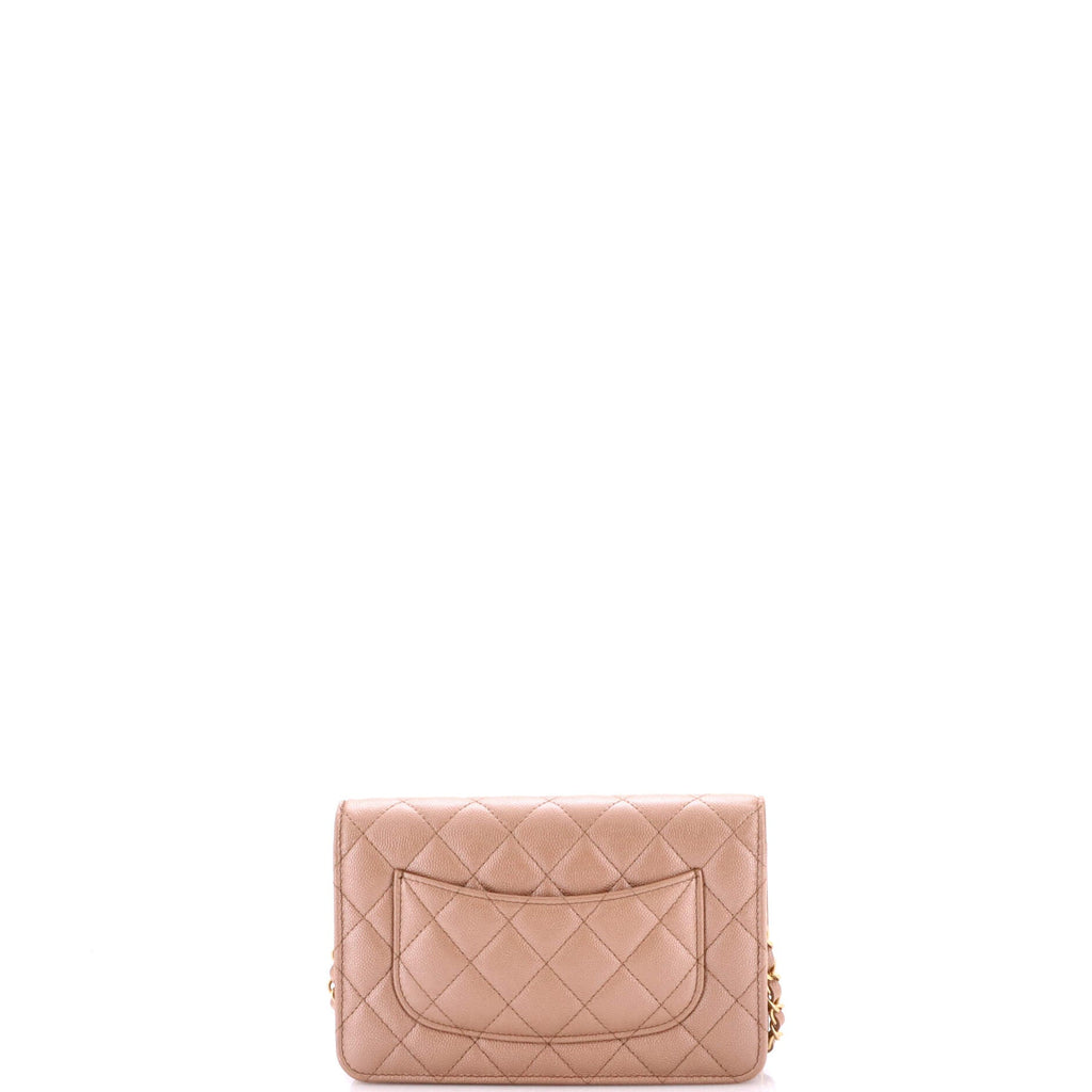 Fit For You Wallet on Chain Quilted Iridescent Caviar