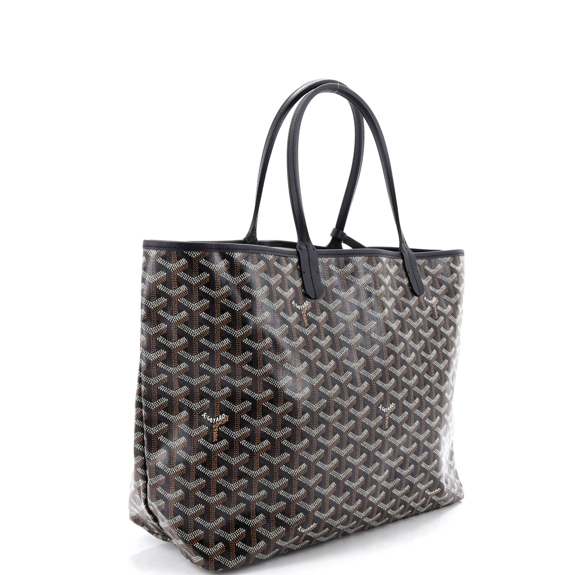 Saint Louis Tote Coated Canvas PM