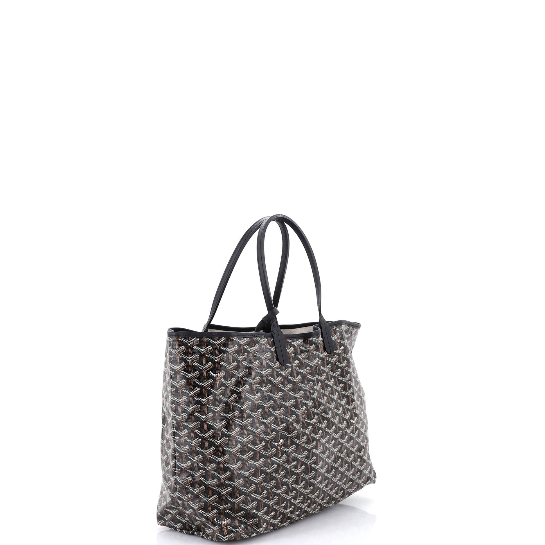 Saint Louis Tote Coated Canvas PM