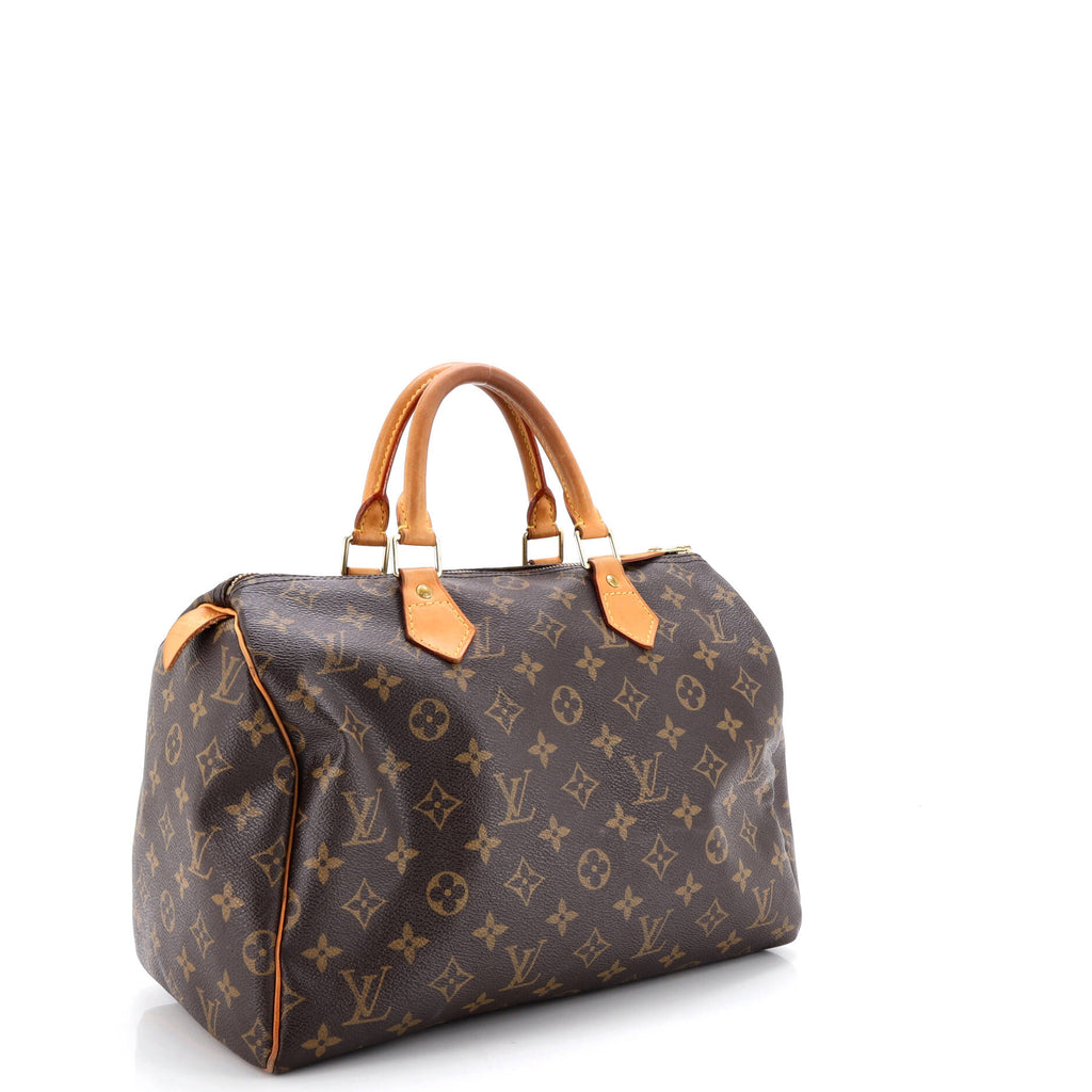Speedy Handbag Monogram Canvas 30