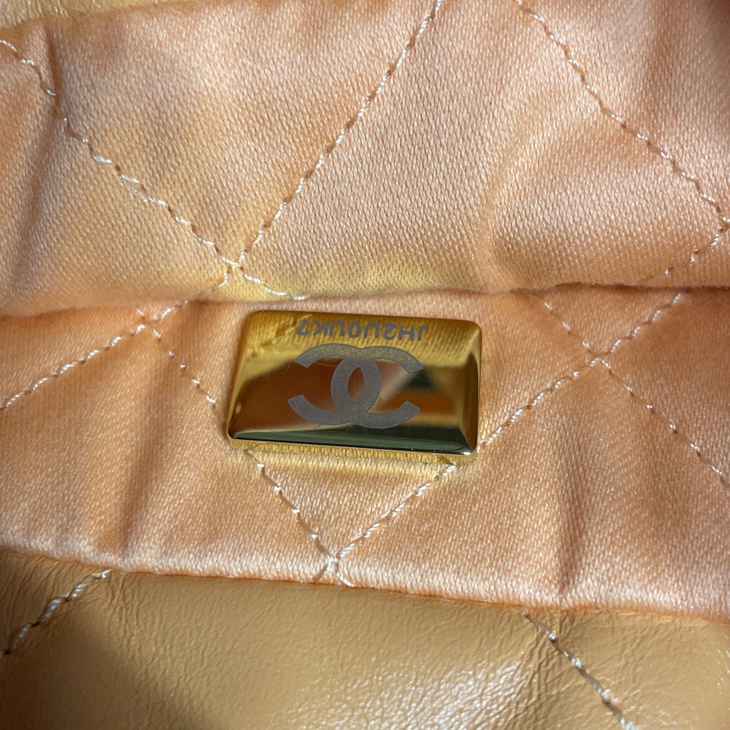 22 Chain Hobo Quilted Calfskin Mini