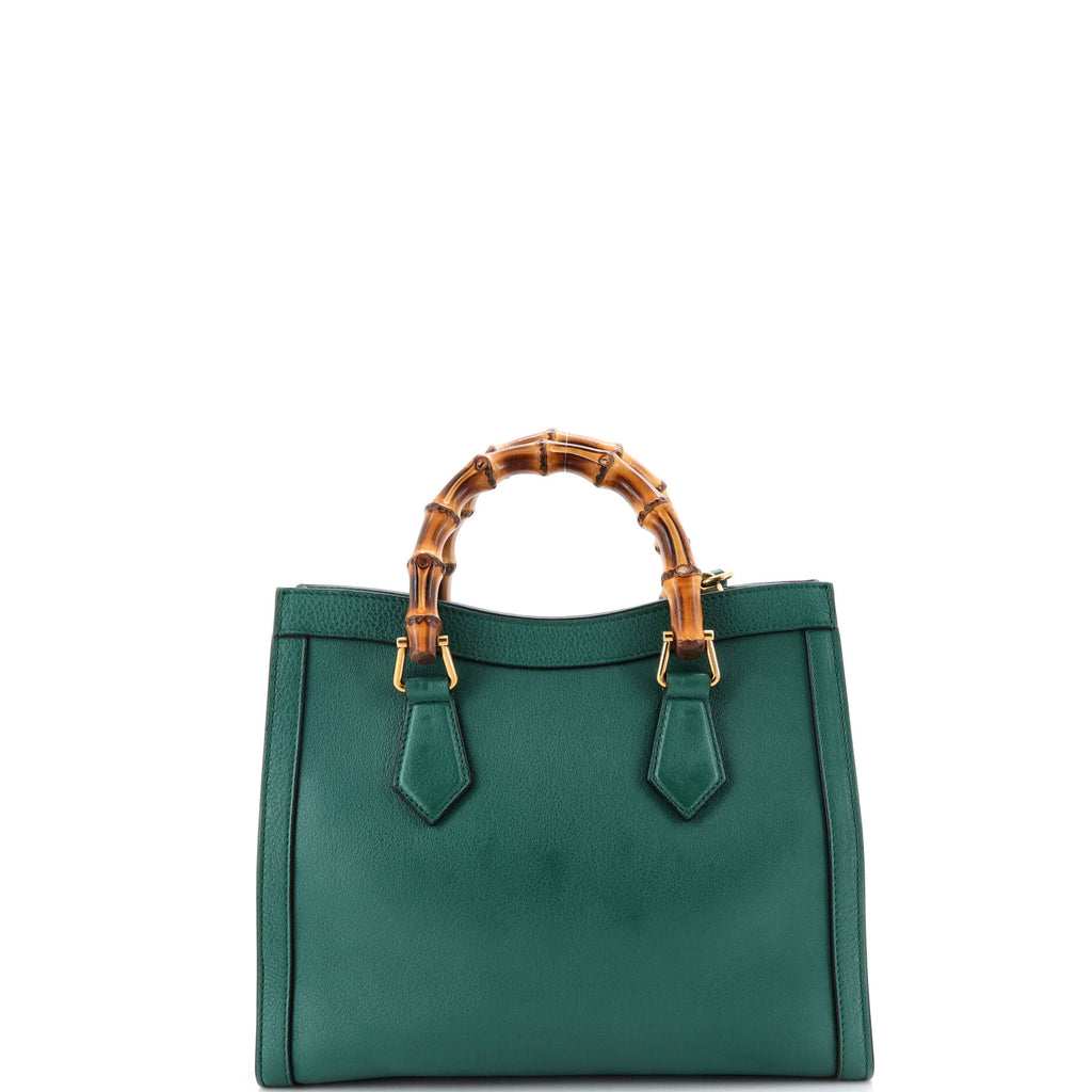 Diana NM Bamboo Handle Tote Leather Small