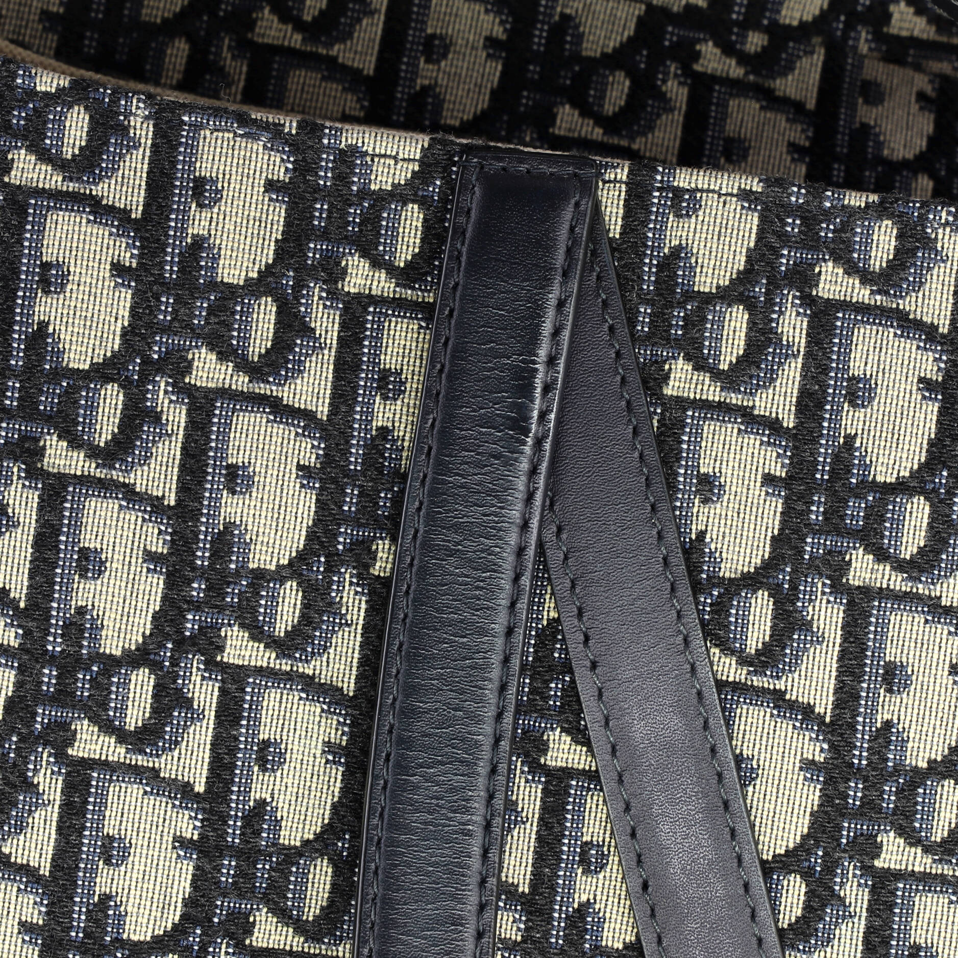 Saddle Handbag Oblique Canvas Medium