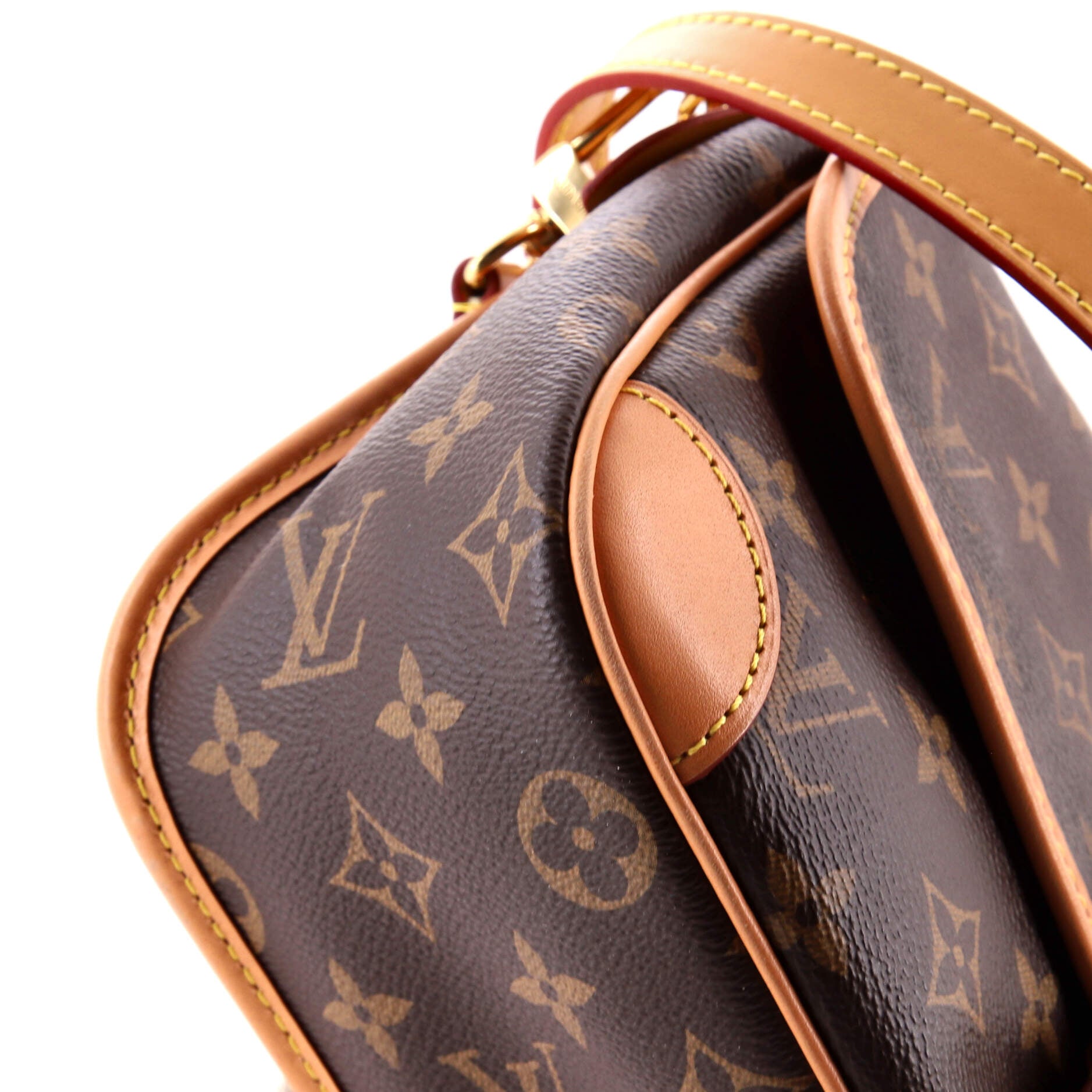 Diane NM Handbag Monogram Canvas
