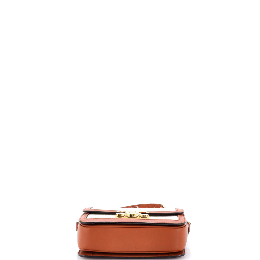 Triomphe Shoulder Bag Canvas with Leather Teen