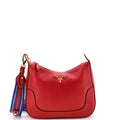 Striped Strap Zip Hobo Vitello Daino Medium