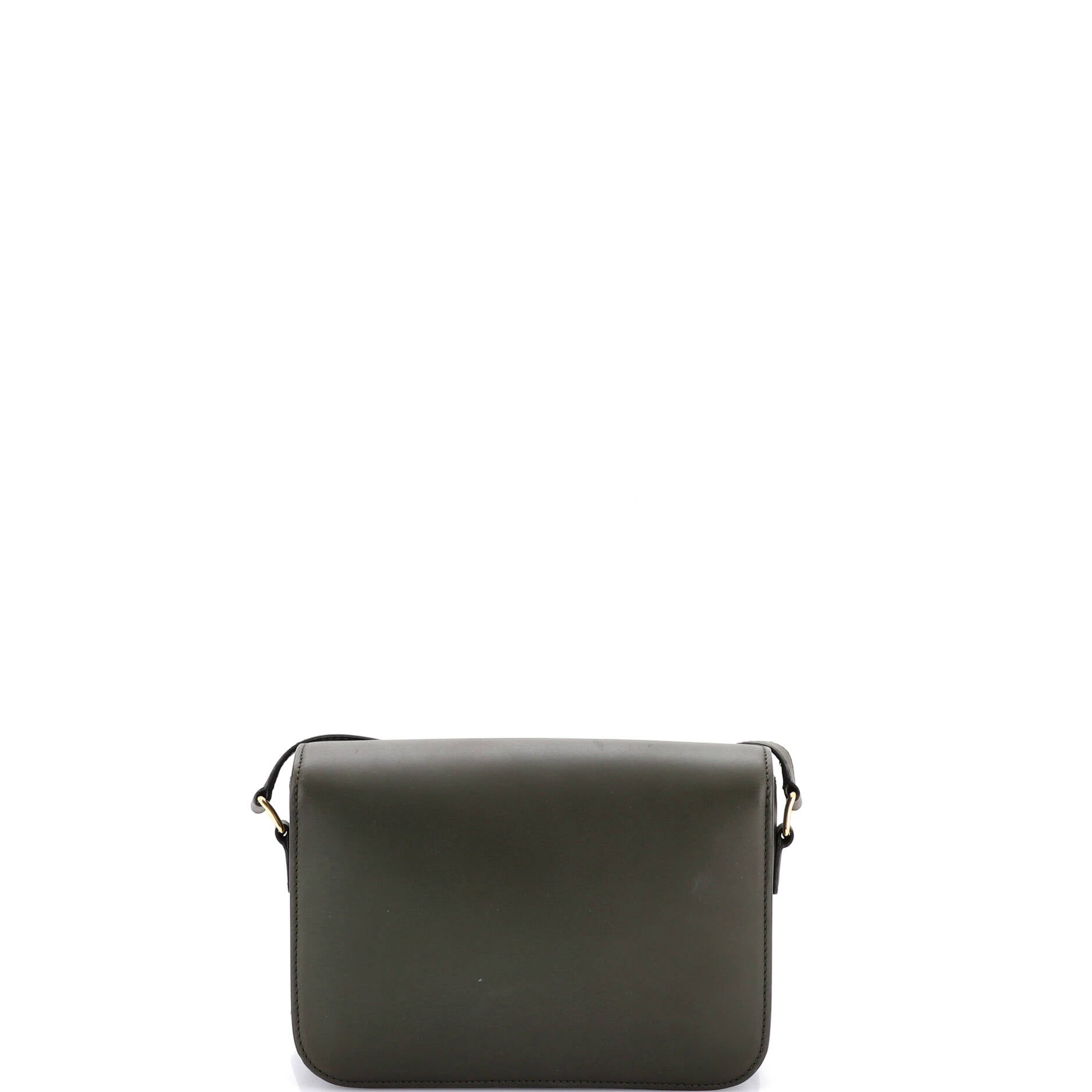 Triomphe Shoulder Bag Smooth Calfskin Medium