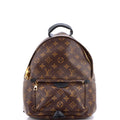 Palm Springs Backpack Monogram Canvas PM