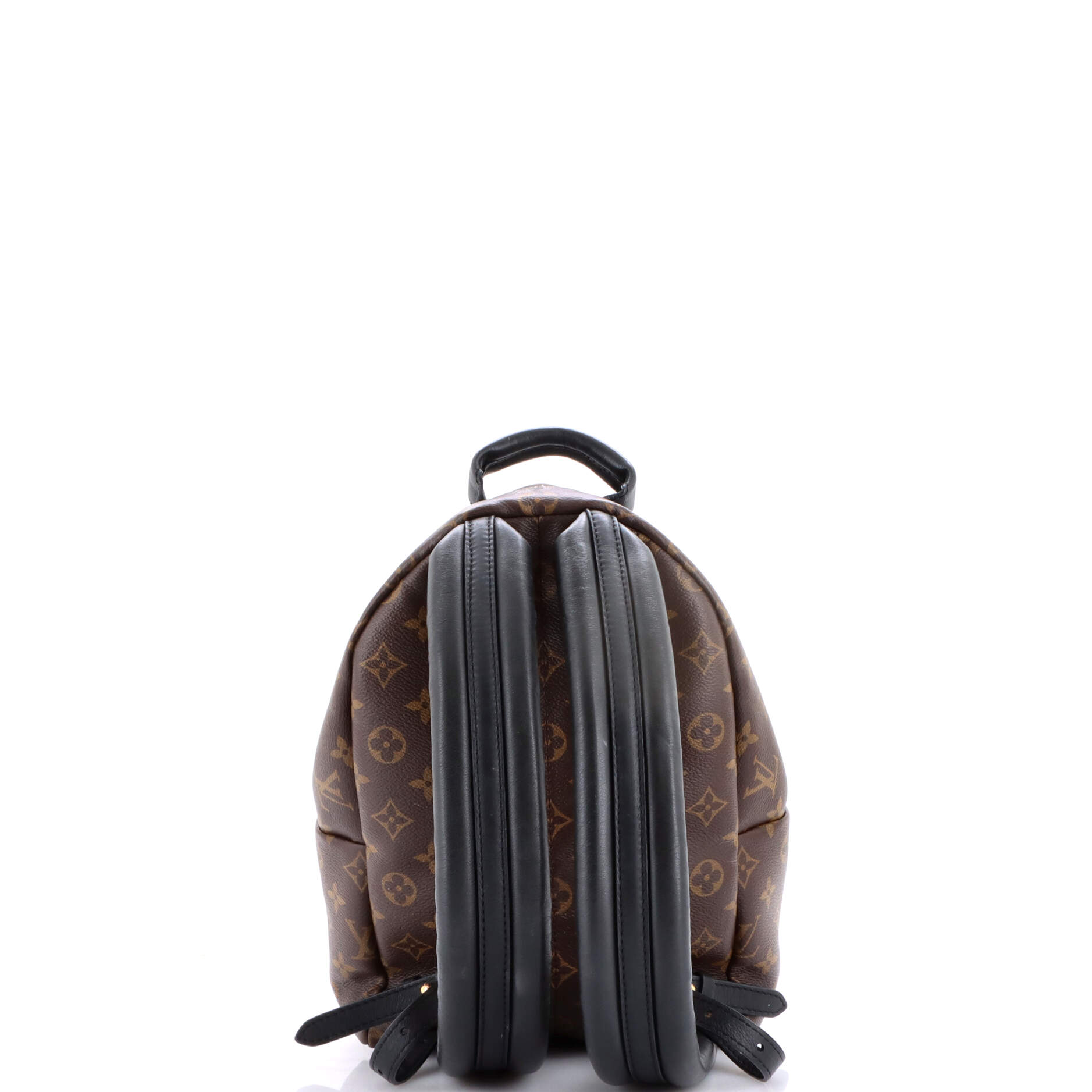 Palm Springs Backpack Monogram Canvas PM