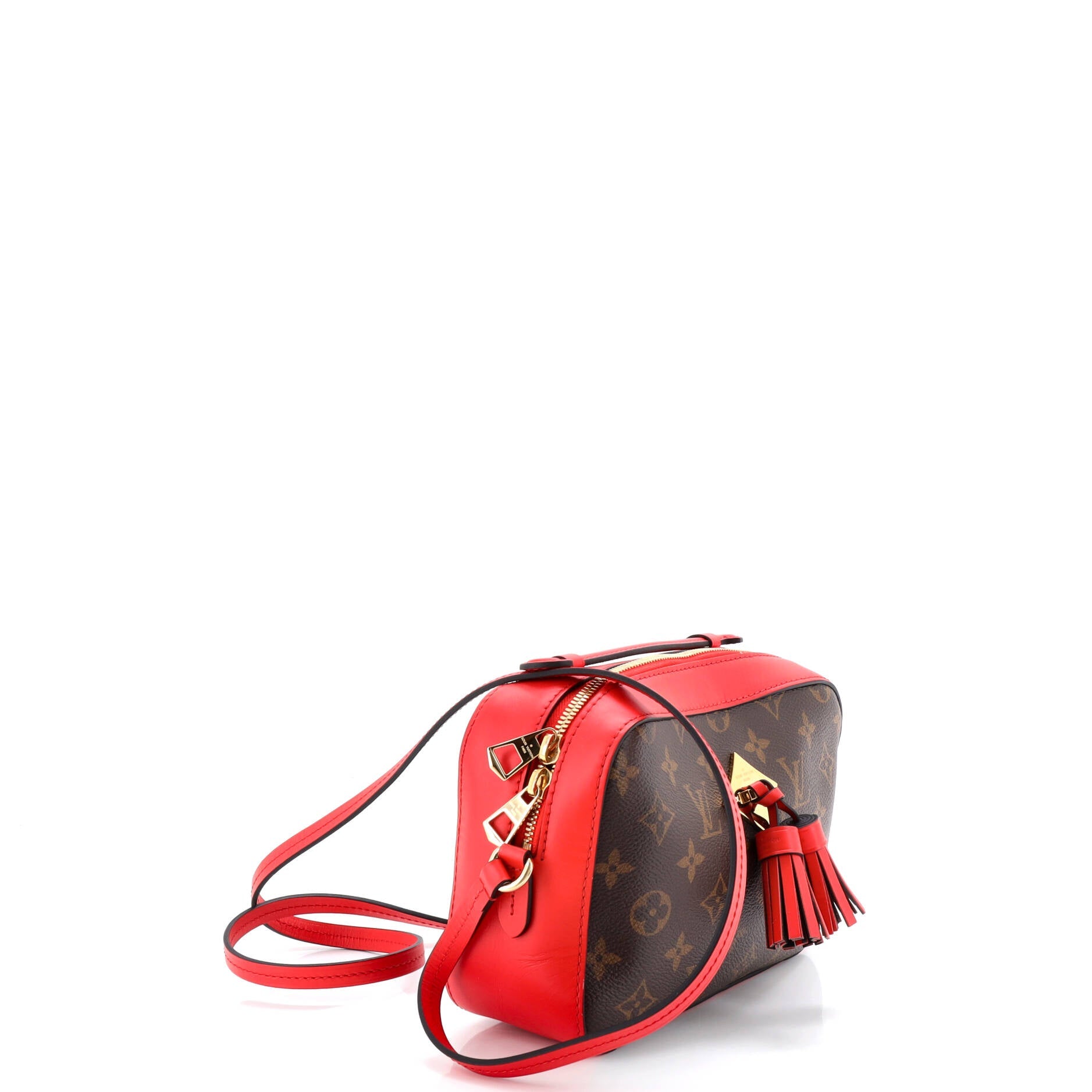 Saintonge Handbag Monogram Canvas with Leather