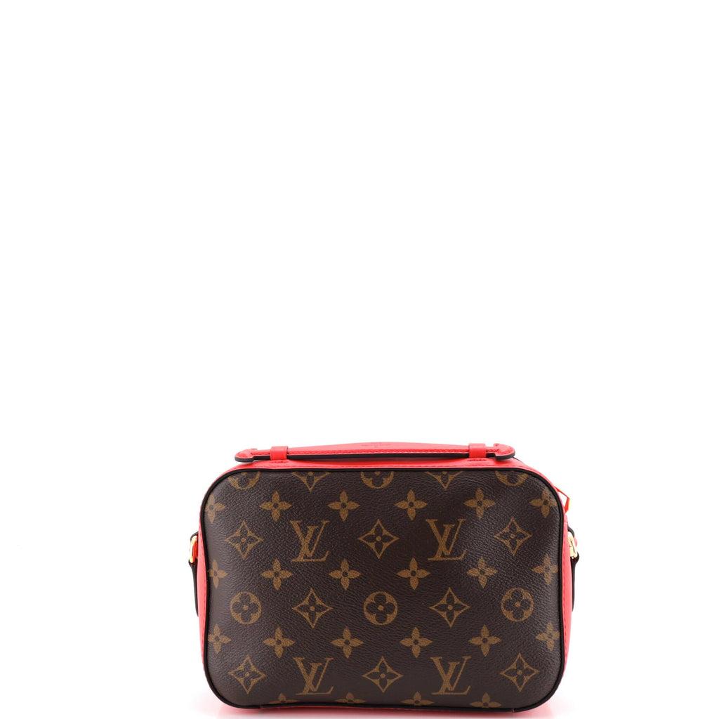 Saintonge Handbag Monogram Canvas with Leather