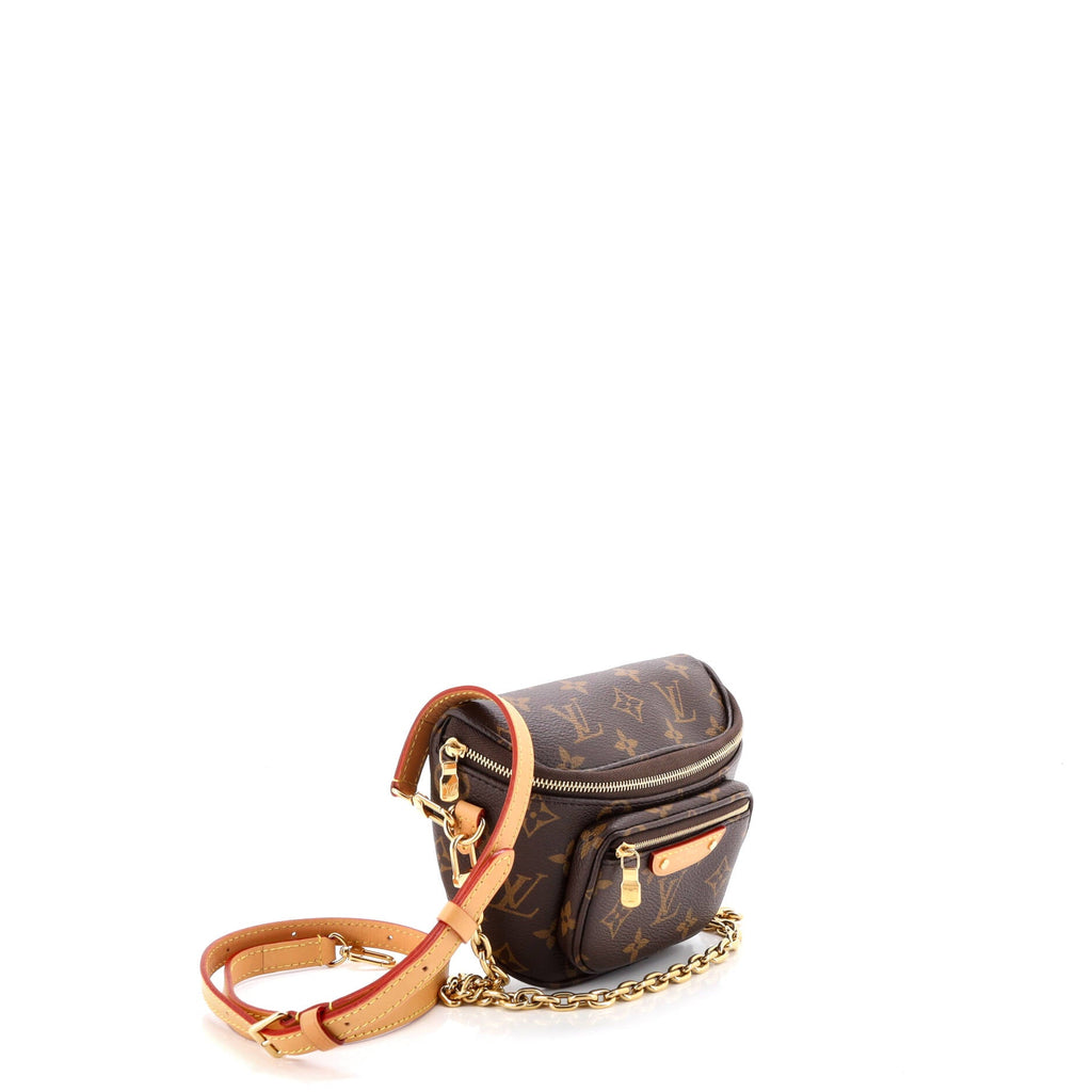 Bum Bag Monogram Canvas Mini