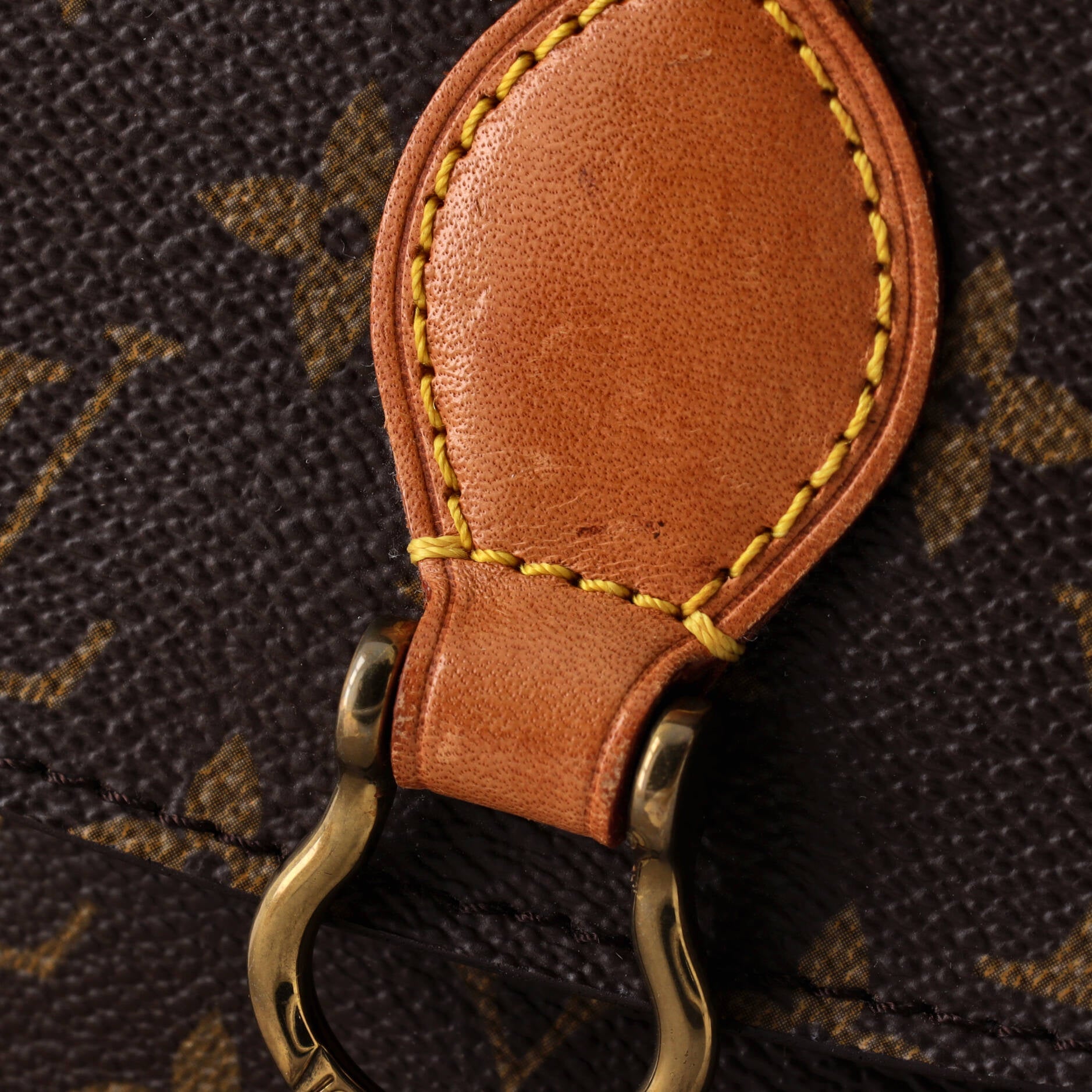 Saint Cloud Handbag Monogram Canvas PM