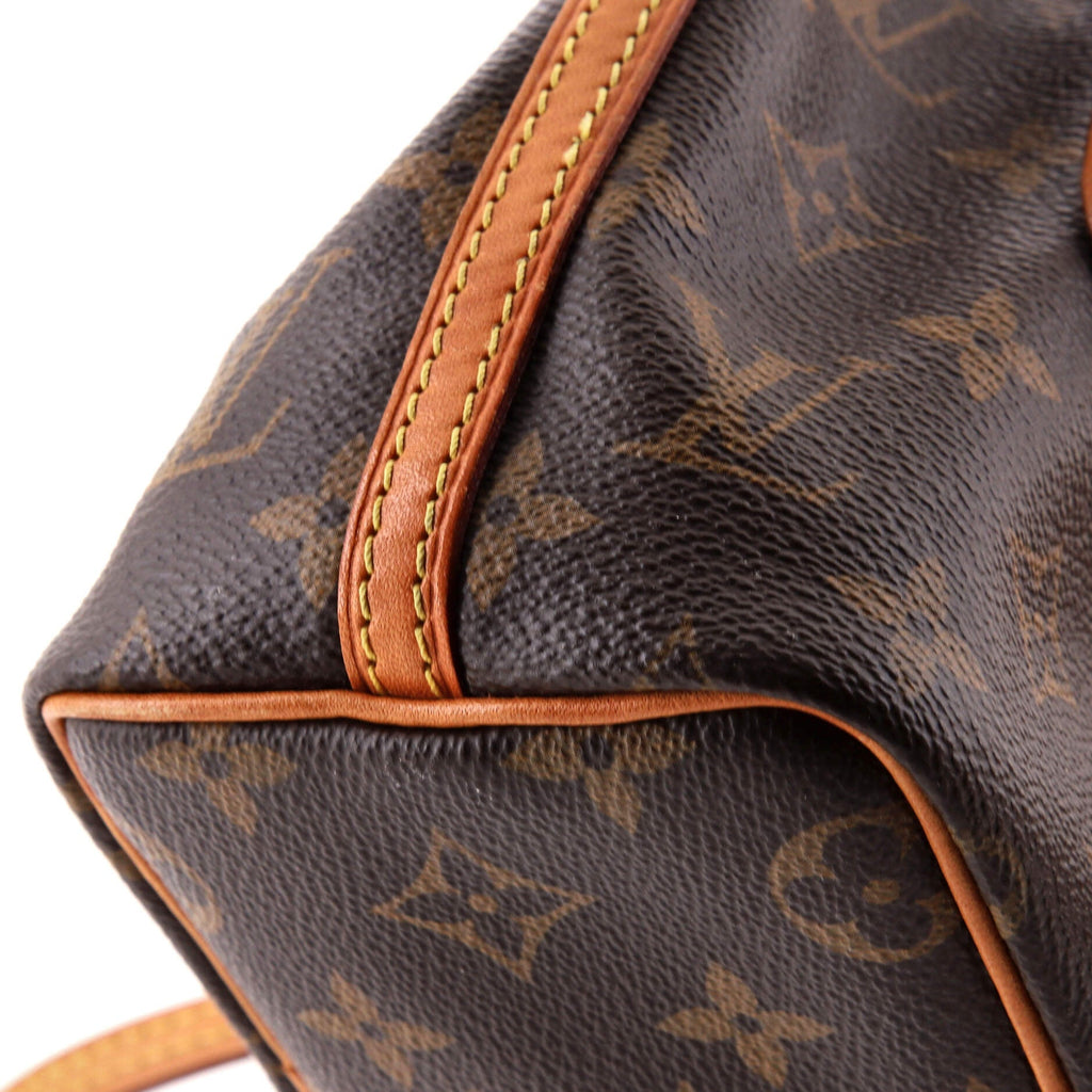 Noe Handbag Monogram Canvas Nano