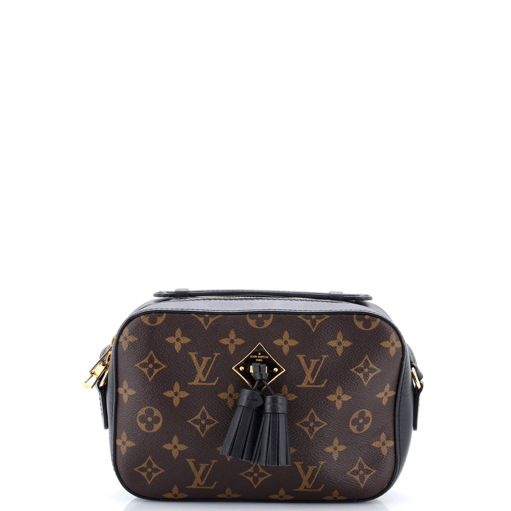 Saintonge Handbag Monogram Canvas with Leather