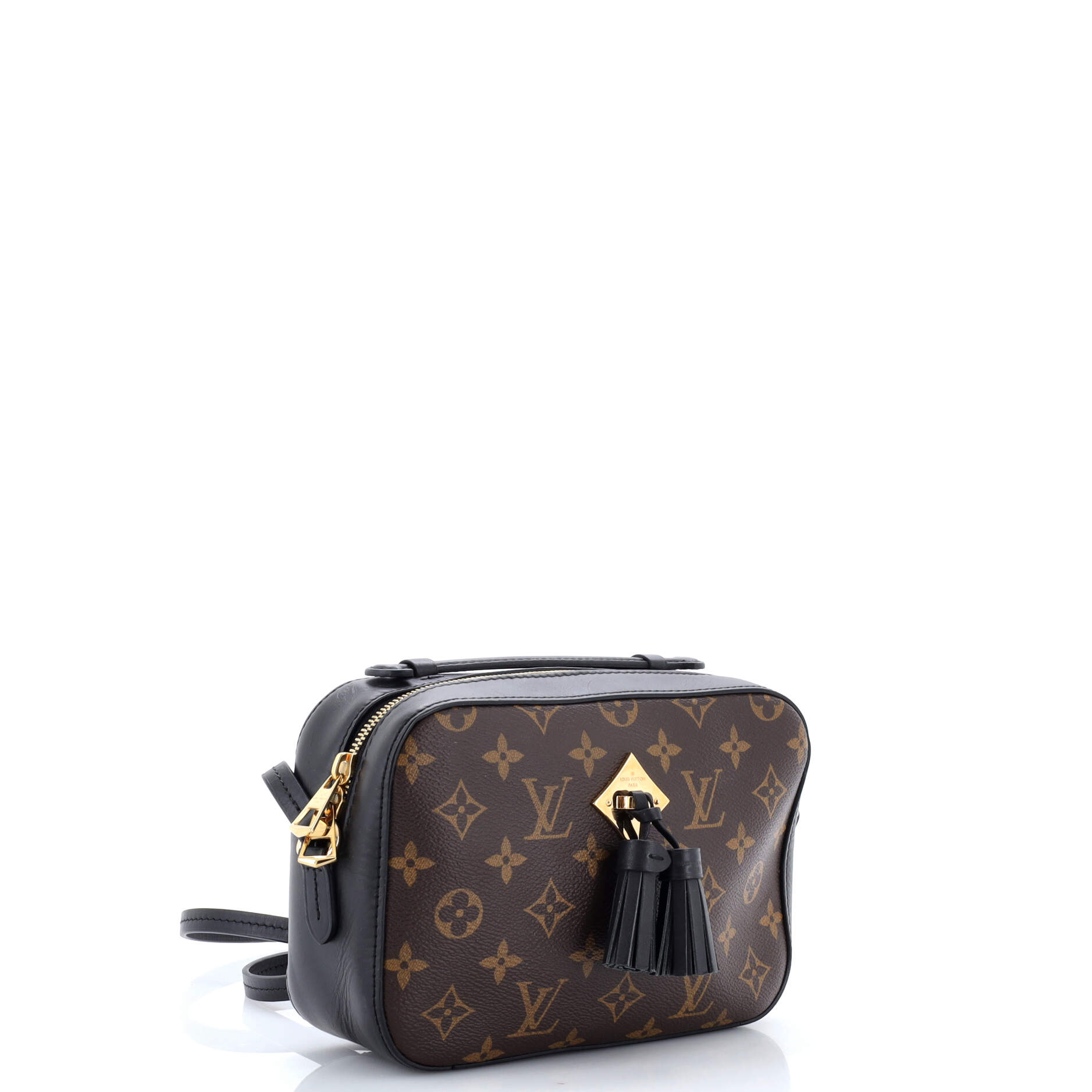 Saintonge Handbag Monogram Canvas with Leather