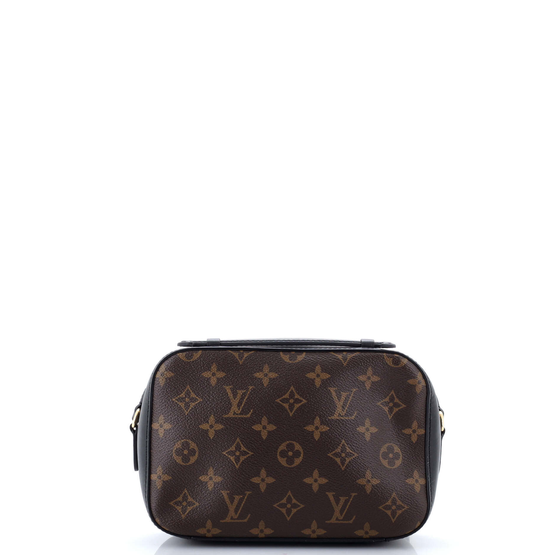 Saintonge Handbag Monogram Canvas with Leather