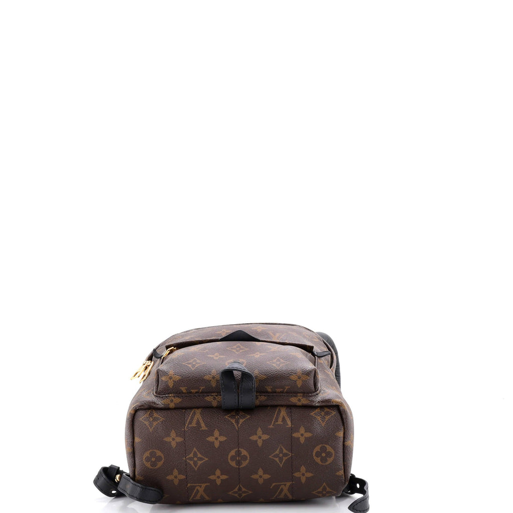Palm Springs Backpack Monogram Canvas PM