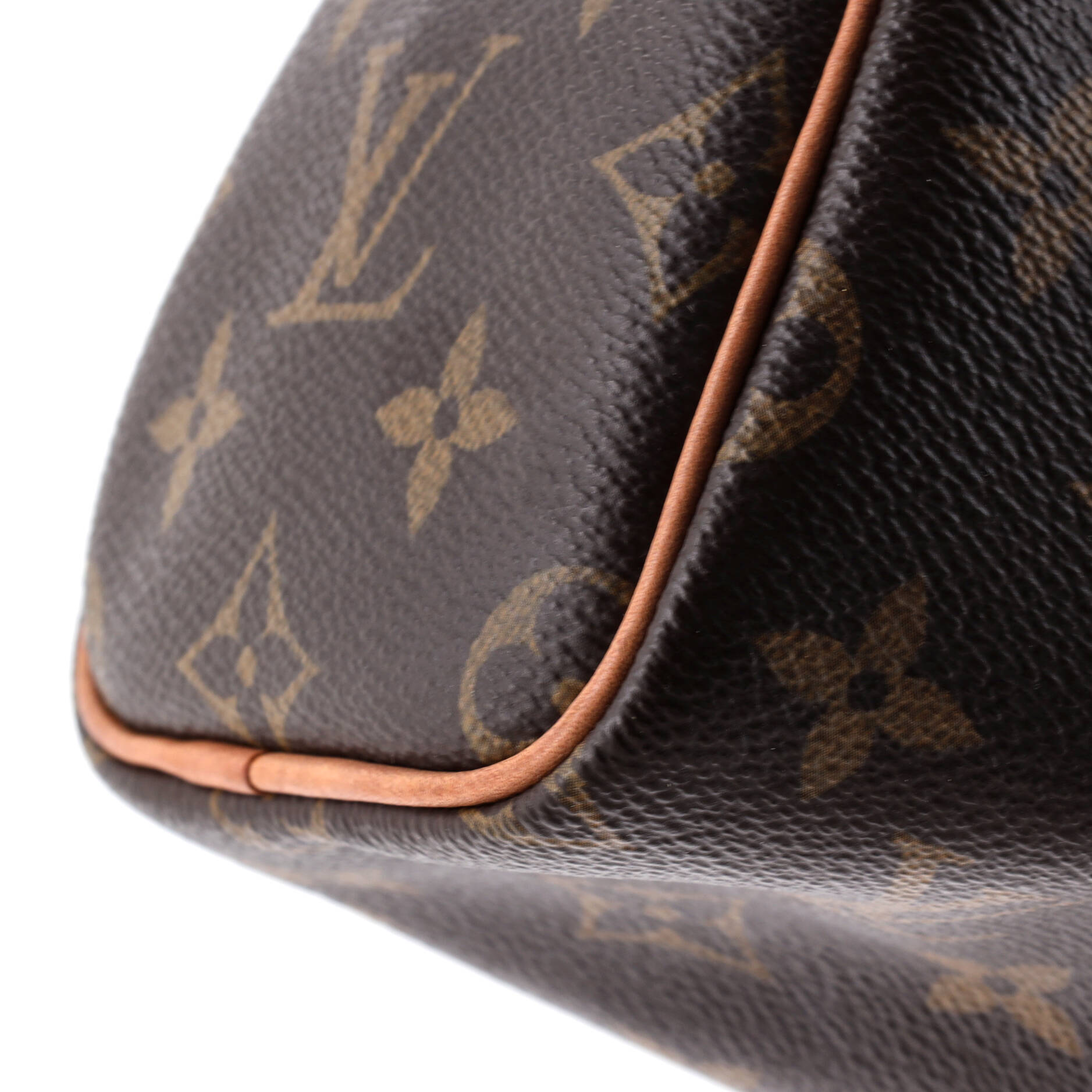 Speedy Bandouliere Bag Monogram Canvas Nano