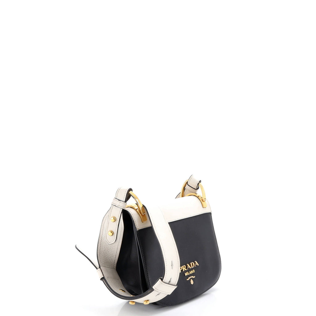 Pionniere Saddle Crossbody Bag City Calfskin Small