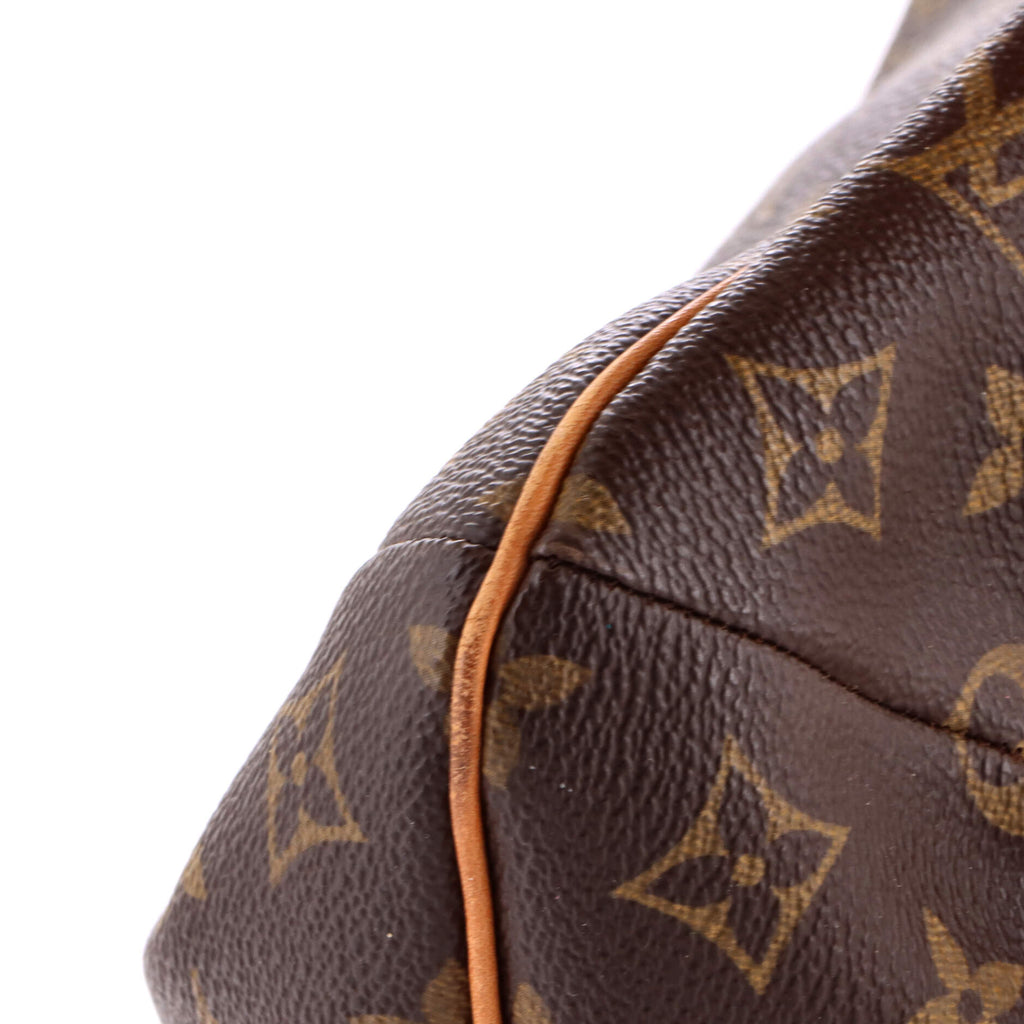 Musette Salsa Handbag Monogram Canvas GM