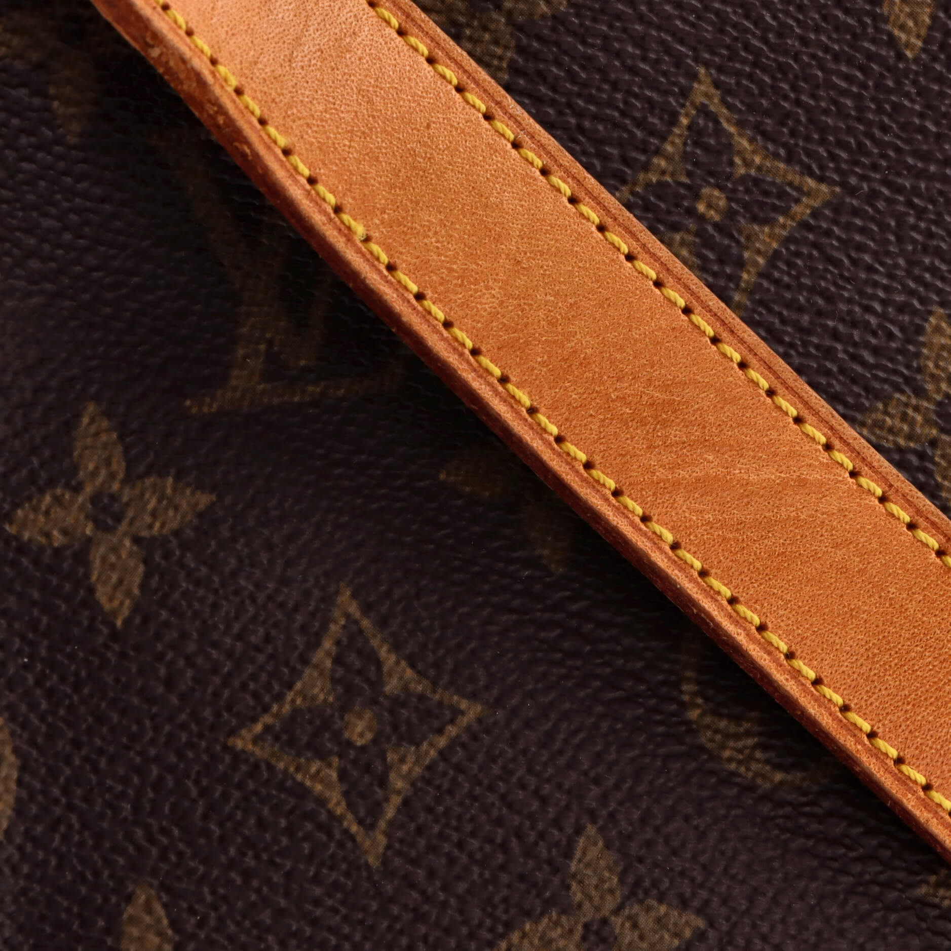 Musette Salsa Handbag Monogram Canvas GM