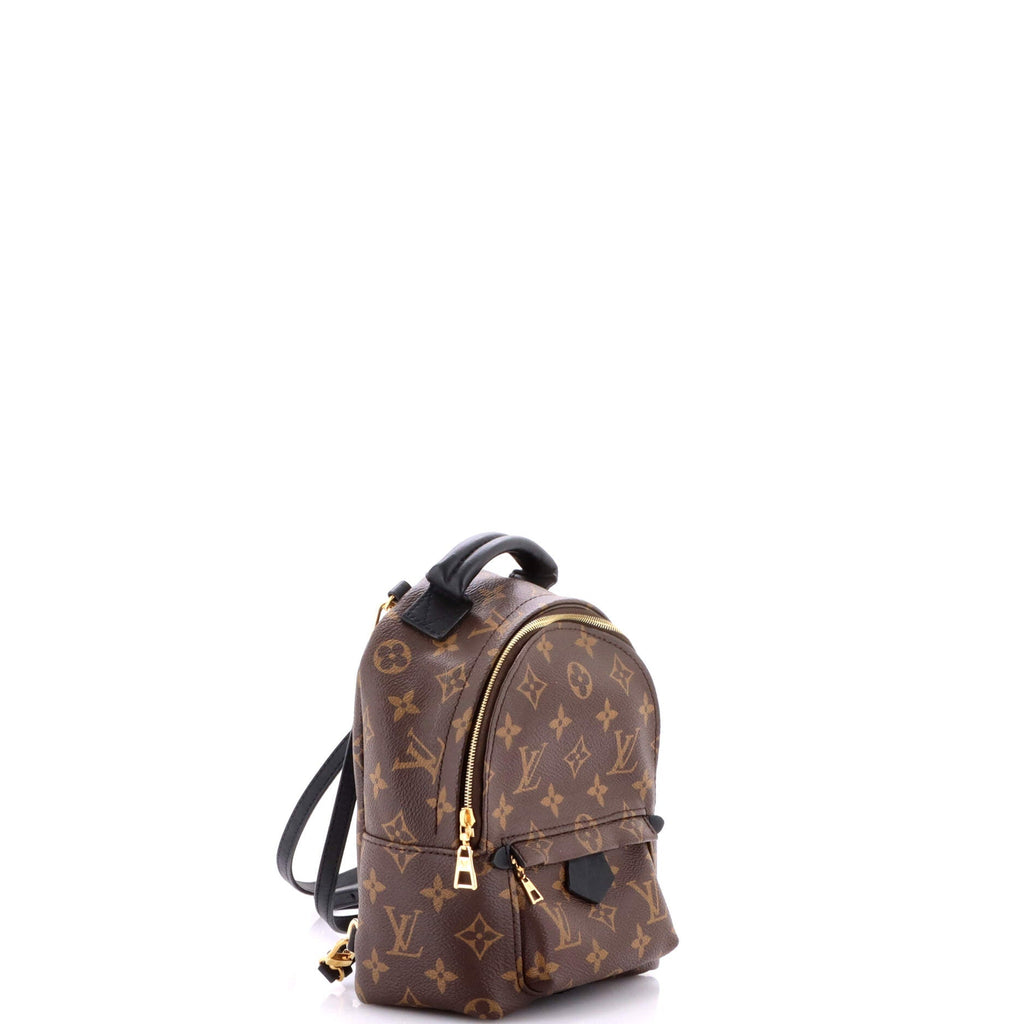 Palm Springs Backpack Monogram Canvas Mini
