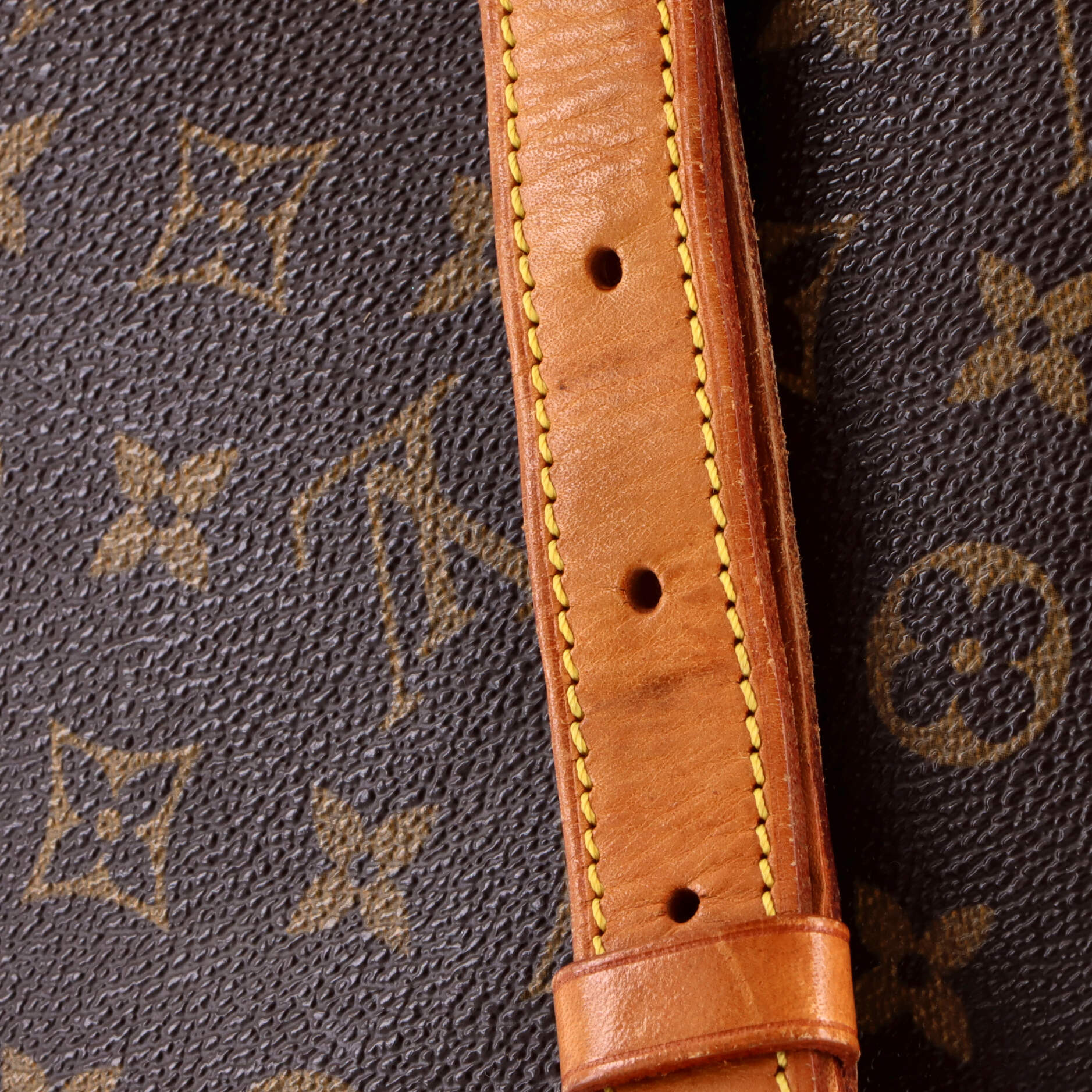 Musette Salsa Handbag Monogram Canvas GM
