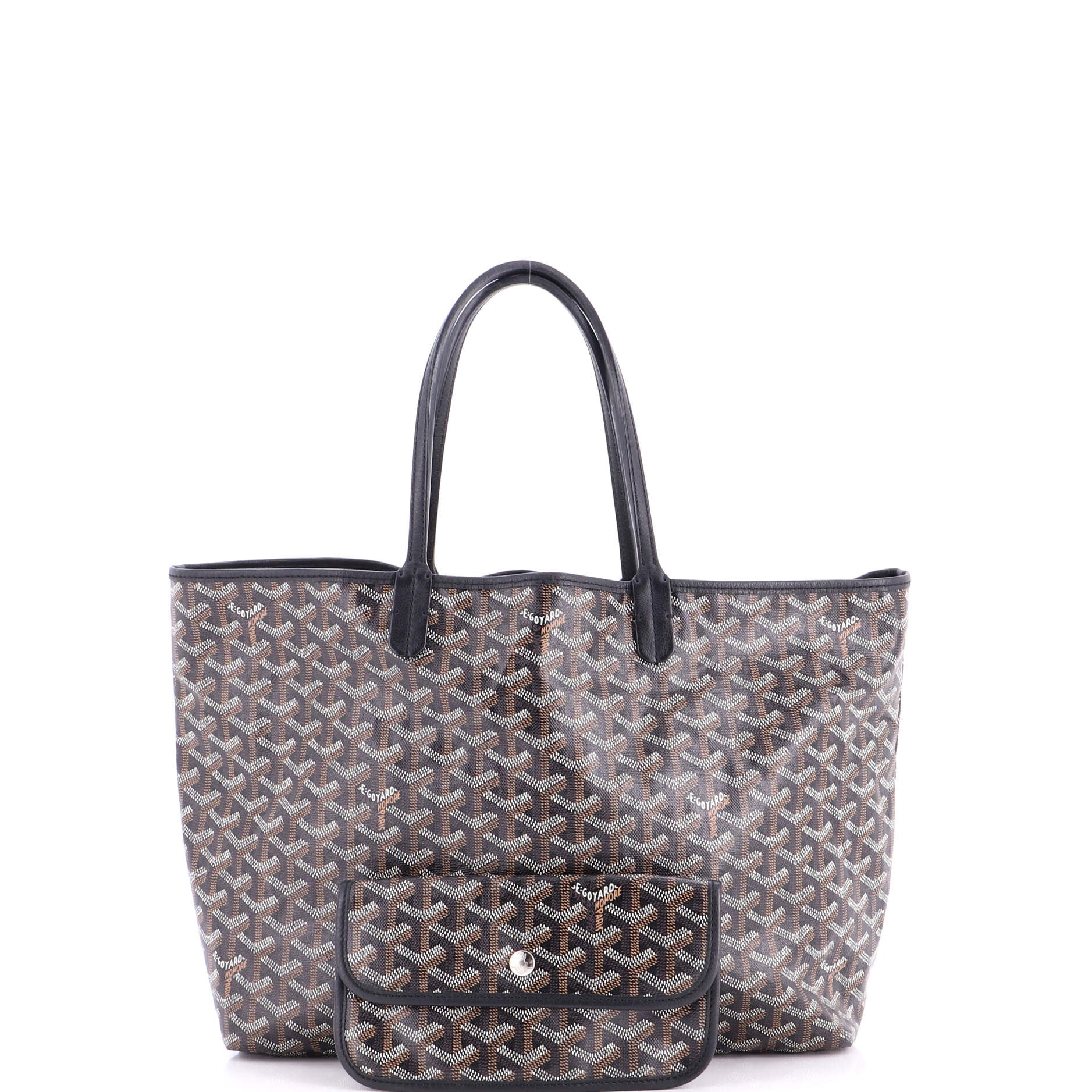 Saint Louis Tote Coated Canvas PM