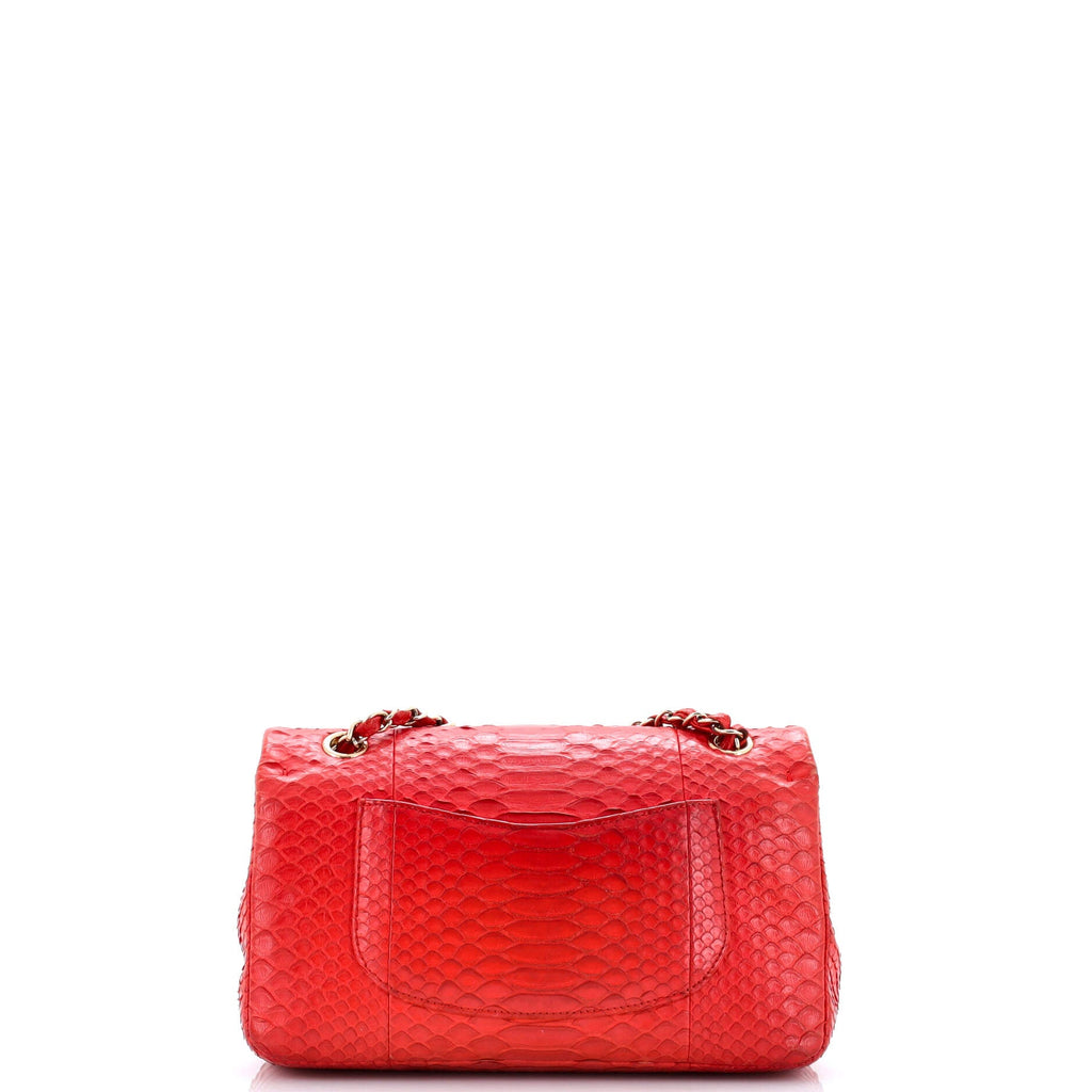 Classic Double Flap Bag Python Medium