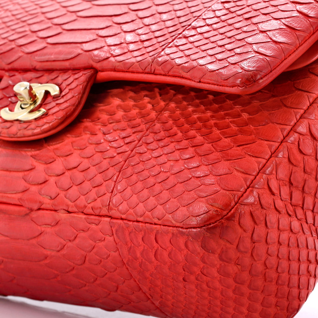 Classic Double Flap Bag Python Medium