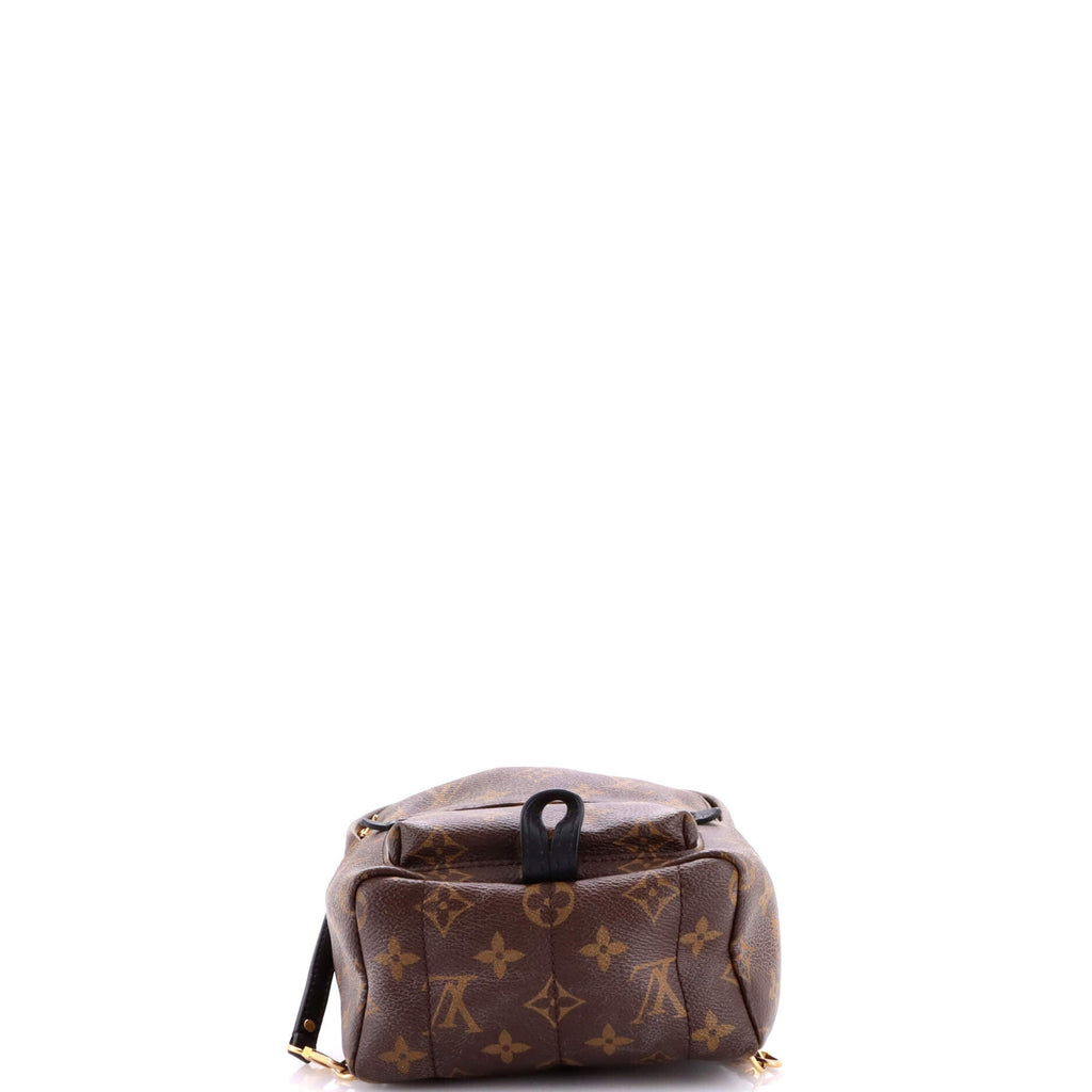Palm Springs Backpack Monogram Canvas Mini