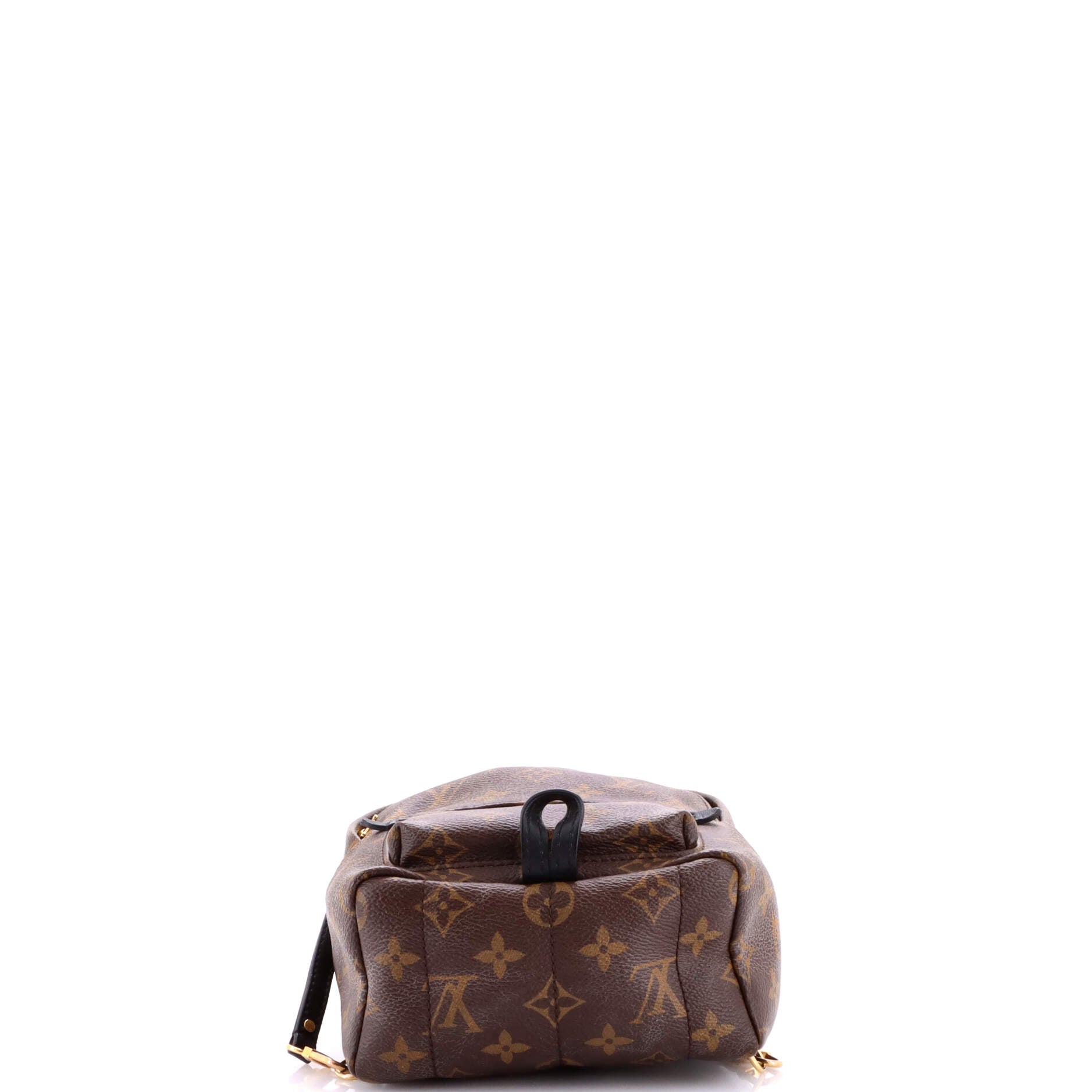 Palm Springs Backpack Monogram Canvas Mini