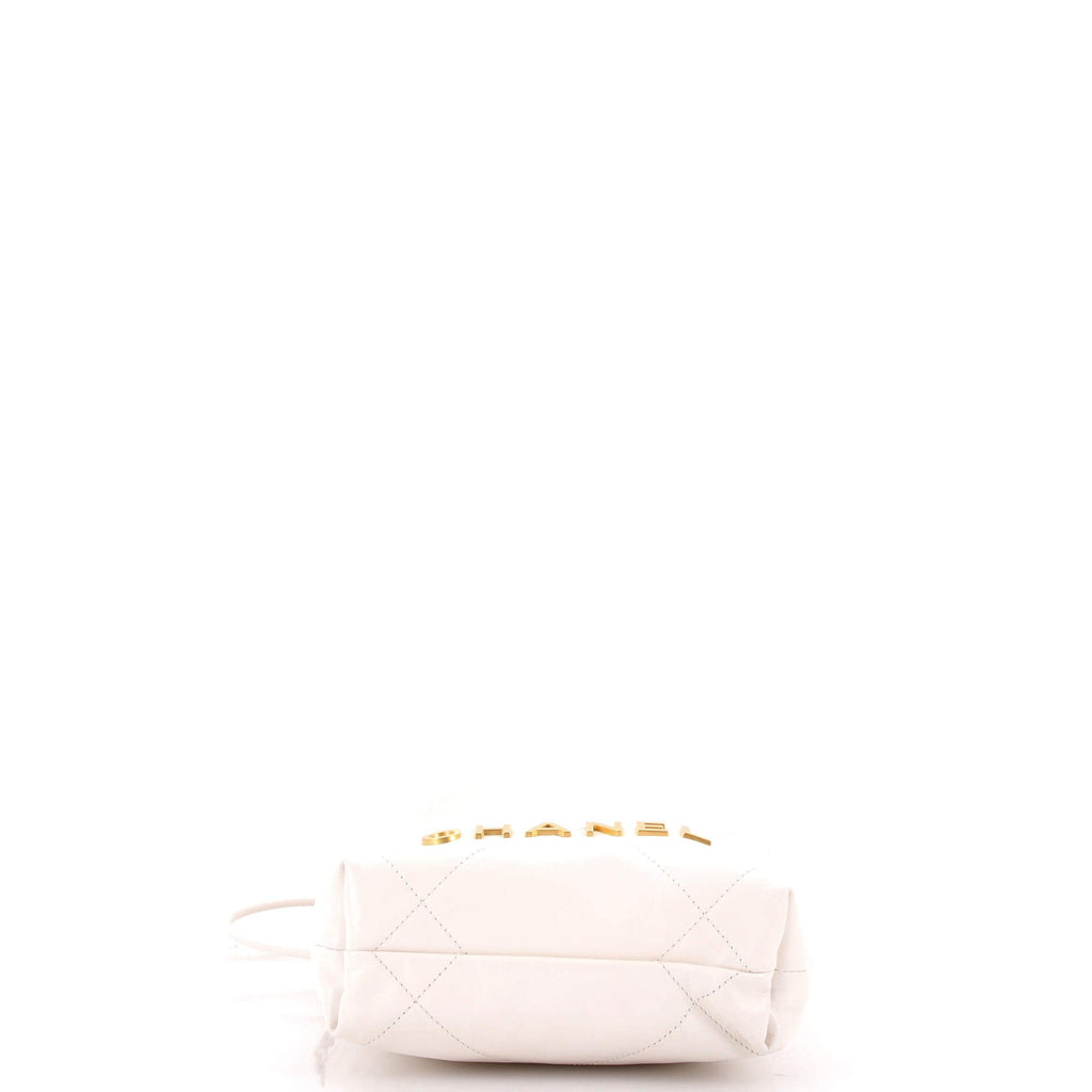 22 Chain Hobo Quilted Shaded Calfskin Mini