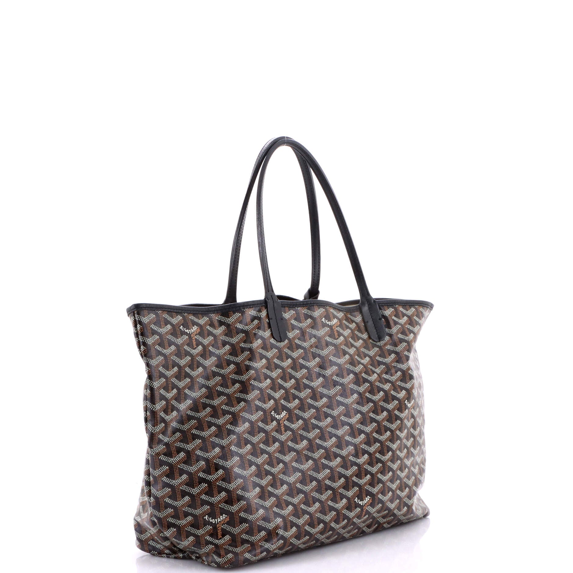 Saint Louis Tote Coated Canvas PM