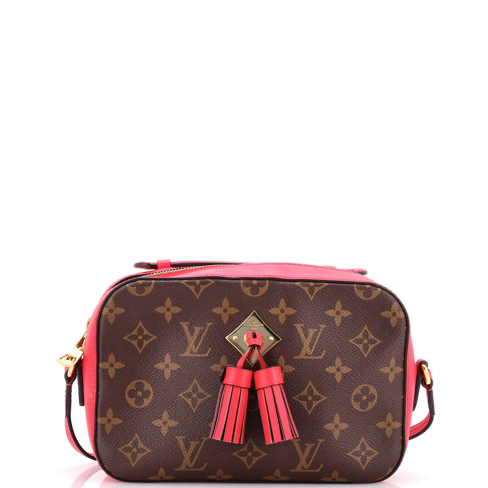 Saintonge Handbag Monogram Canvas with Leather