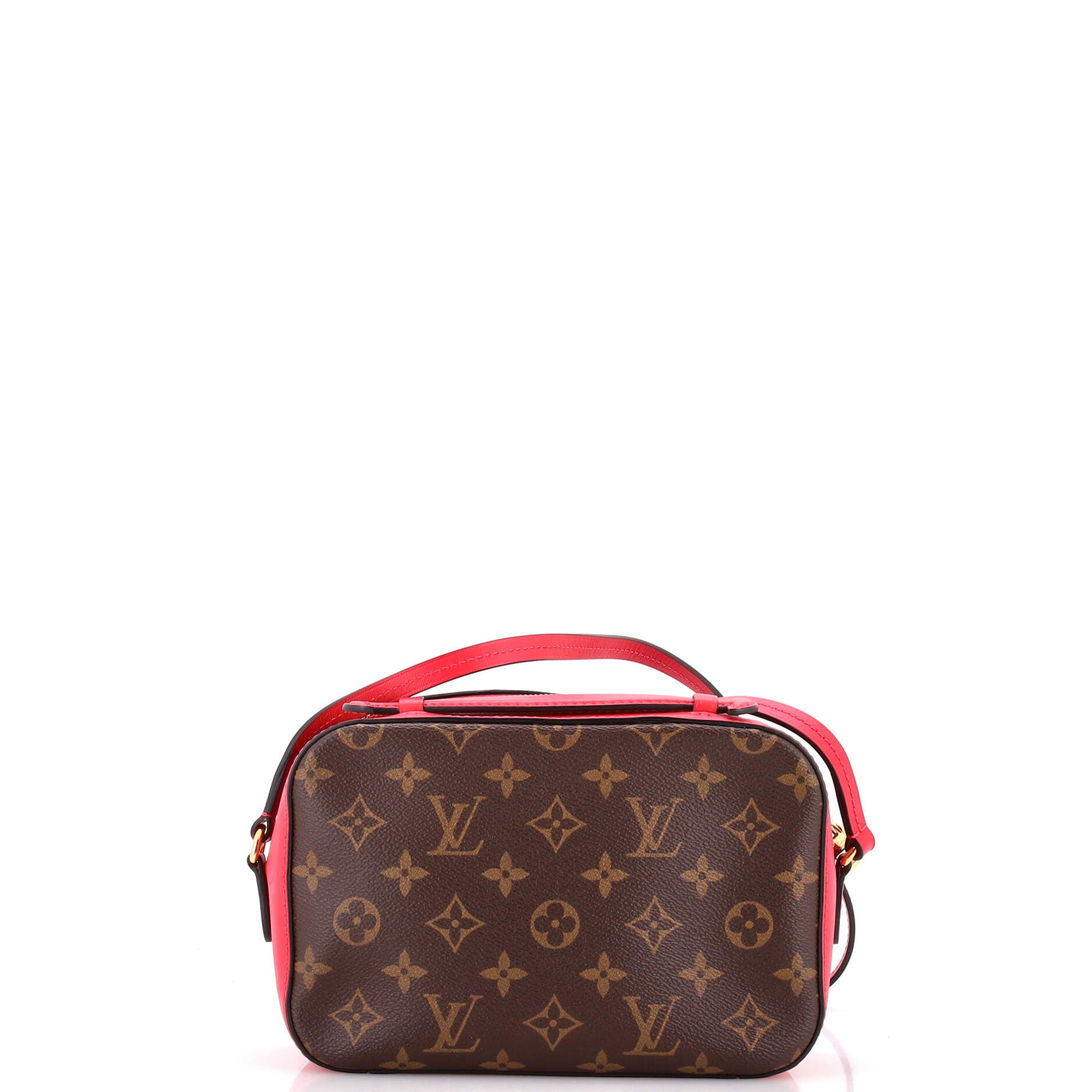 Saintonge Handbag Monogram Canvas with Leather