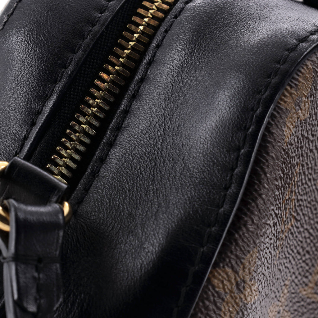 Saintonge Handbag Monogram Canvas with Leather