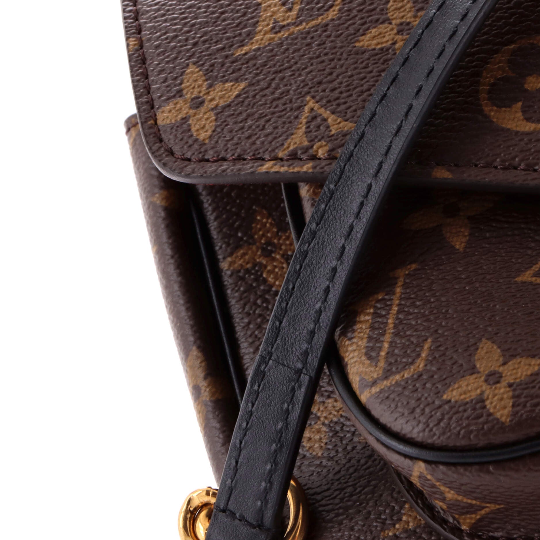 Passy Handbag Monogram Canvas