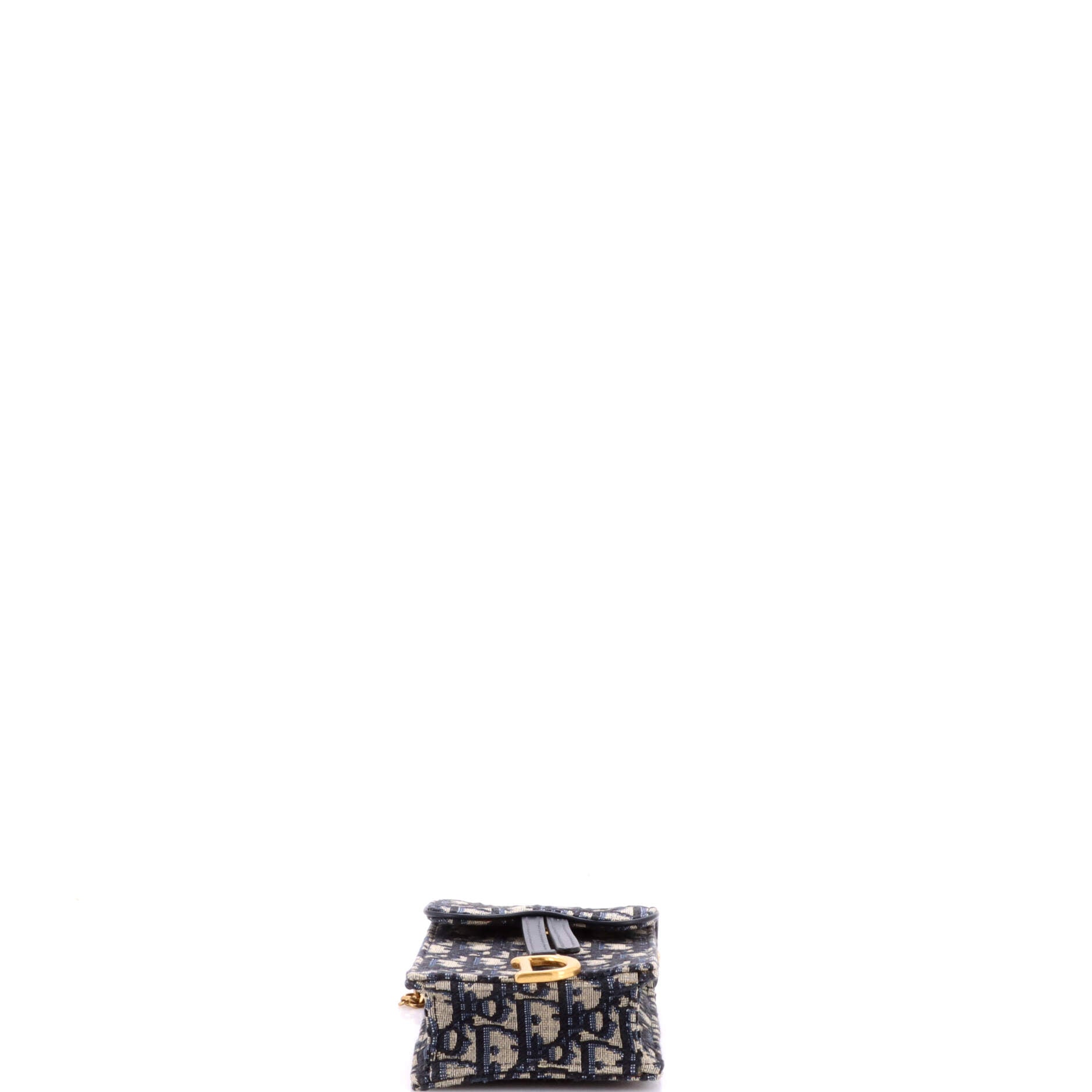 Vertical Saddle Chain Pouch Oblique Canvas