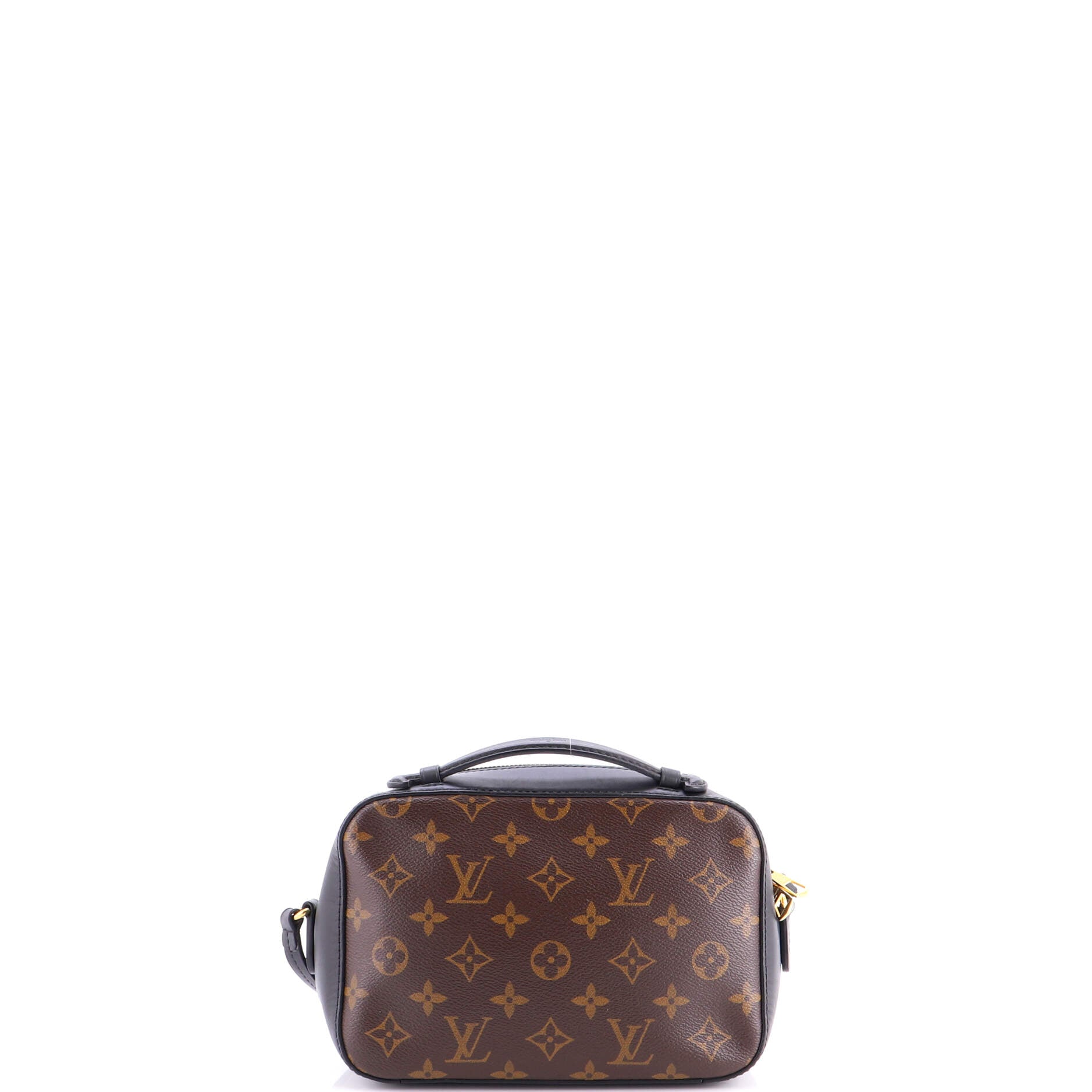 Saintonge Handbag Monogram Canvas with Leather