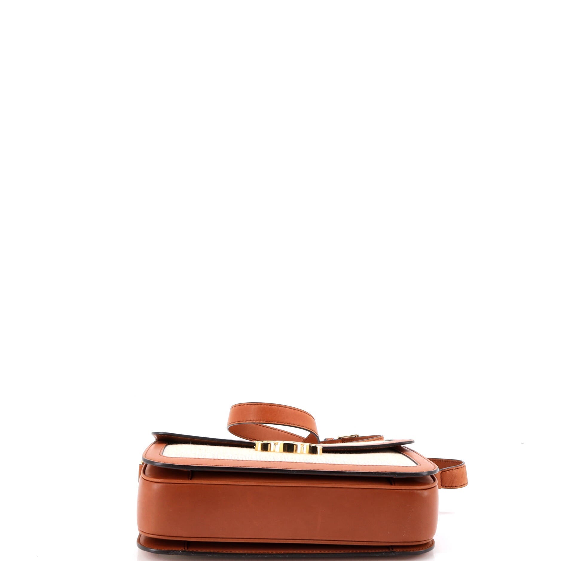 Triomphe Shoulder Bag Canvas with Leather Medium