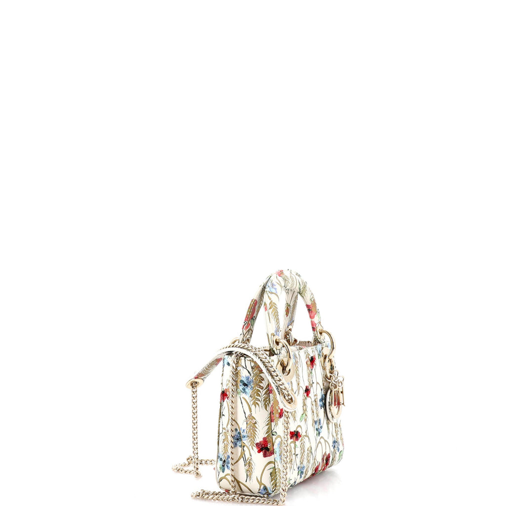 Lady Dior Chain Bag Embroidered Printed Calfskin Mini