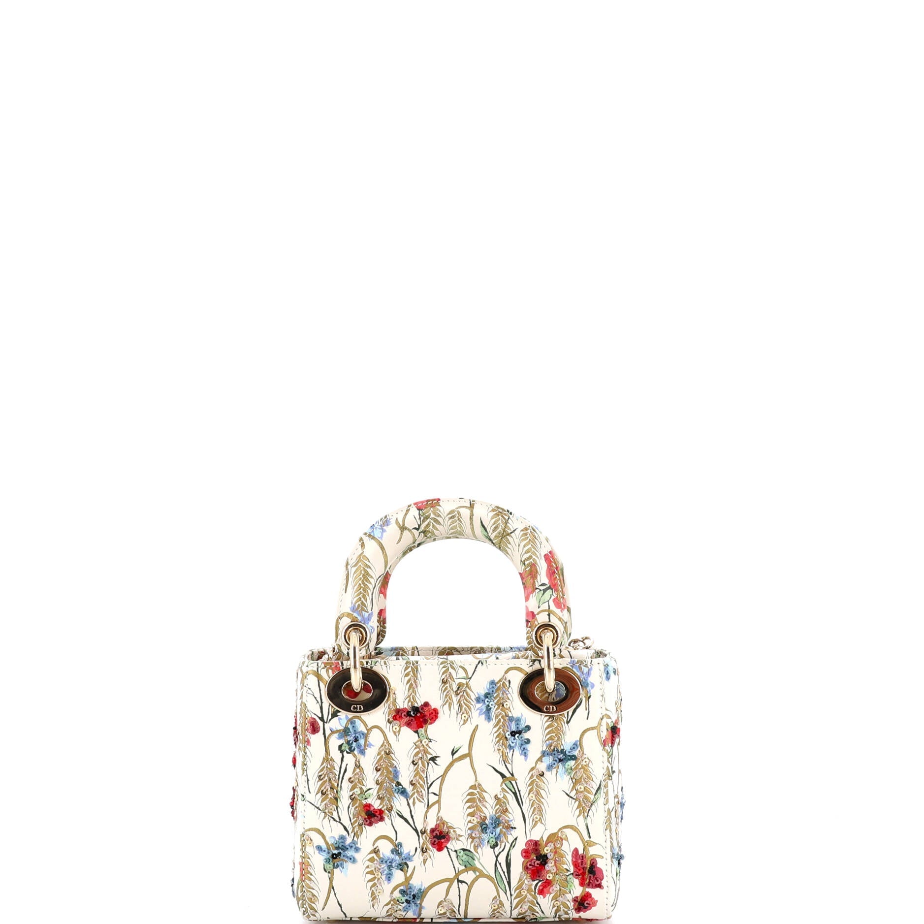 Lady Dior Chain Bag Embroidered Printed Calfskin Mini