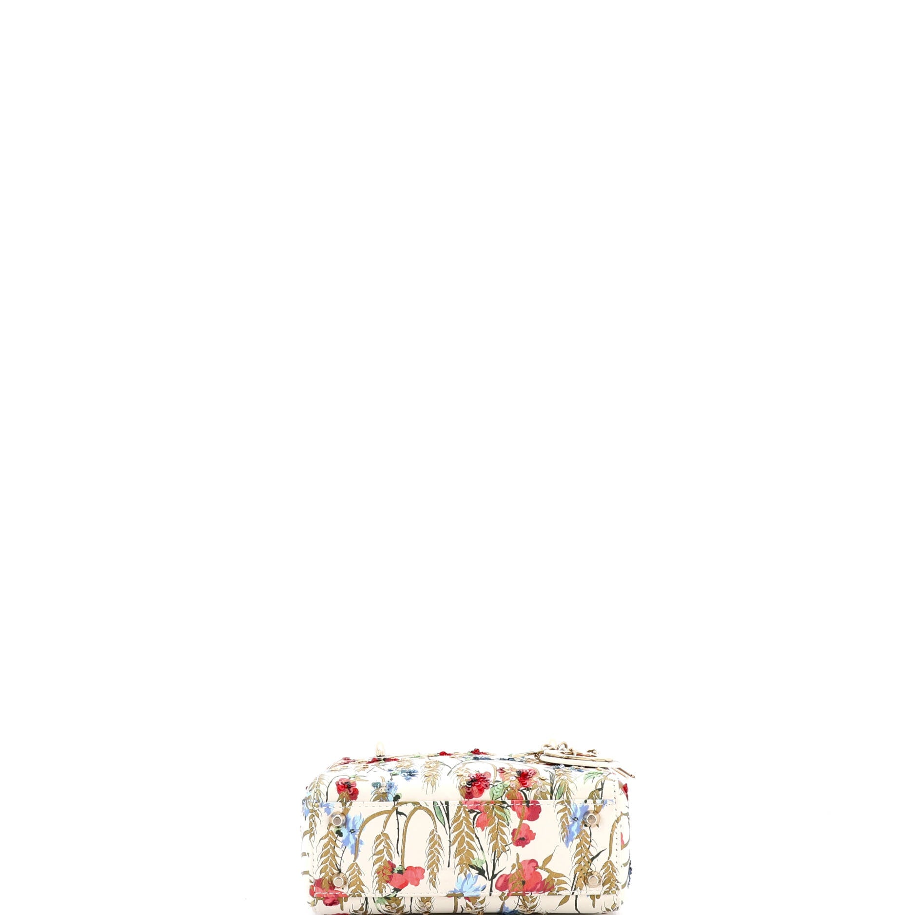Lady Dior Chain Bag Embroidered Printed Calfskin Mini