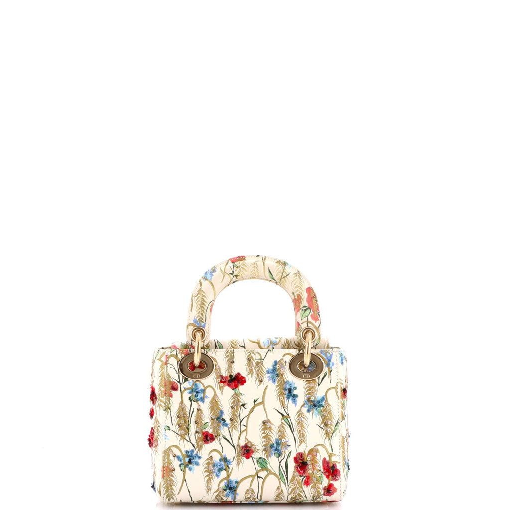 Lady Dior Chain Bag Embroidered Printed Calfskin Mini