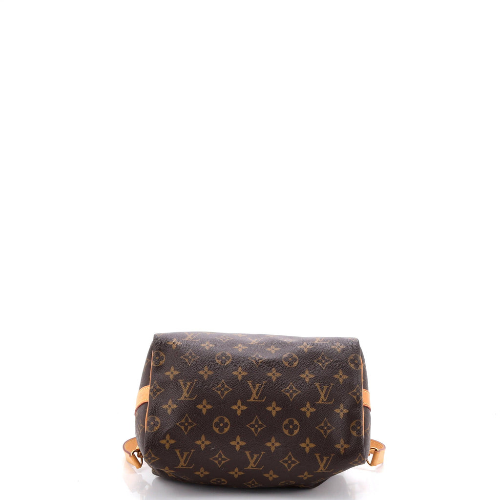 Speedy Bandouliere Bag Monogram Canvas 25